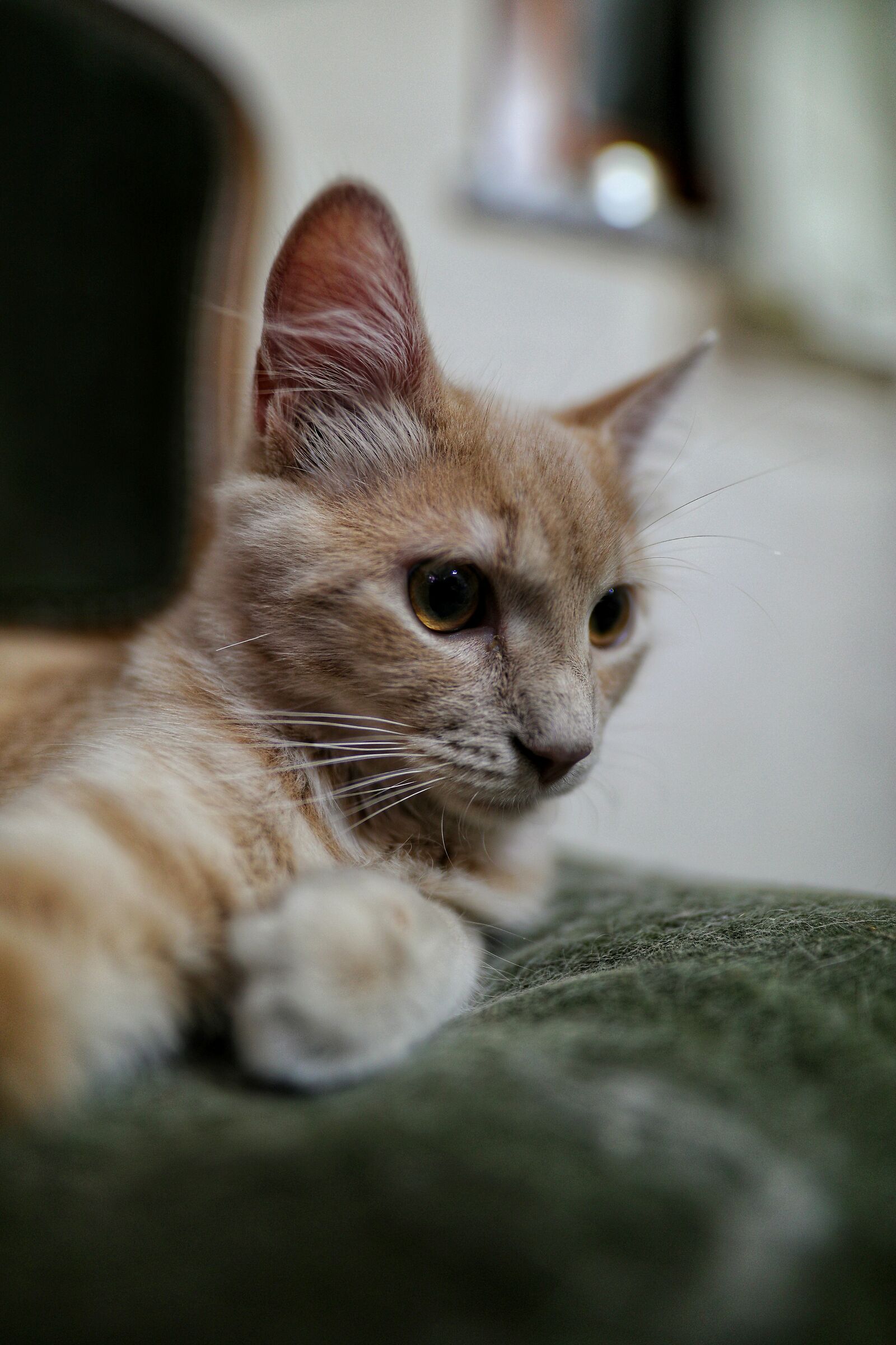 Romeo