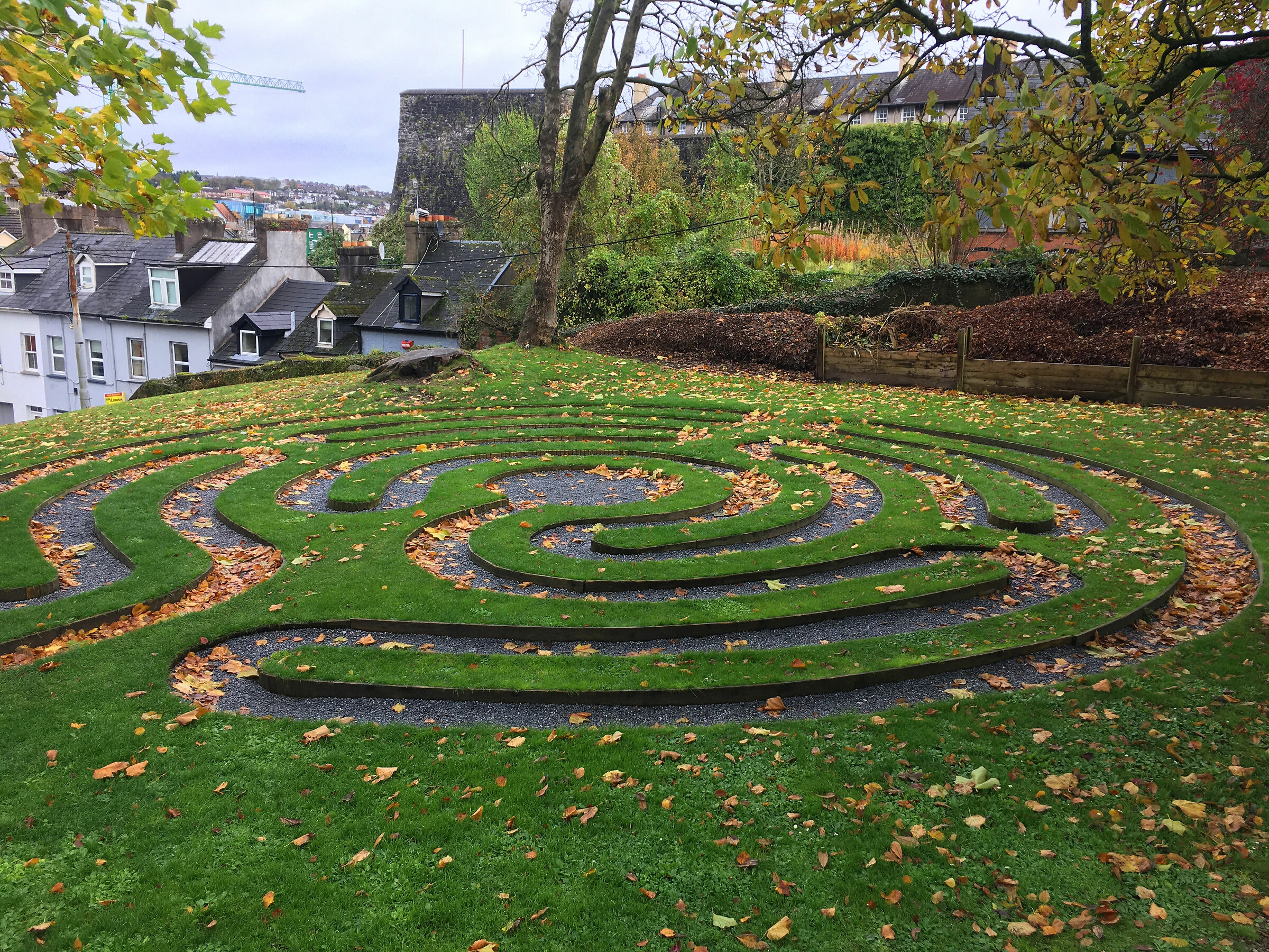 The Maze