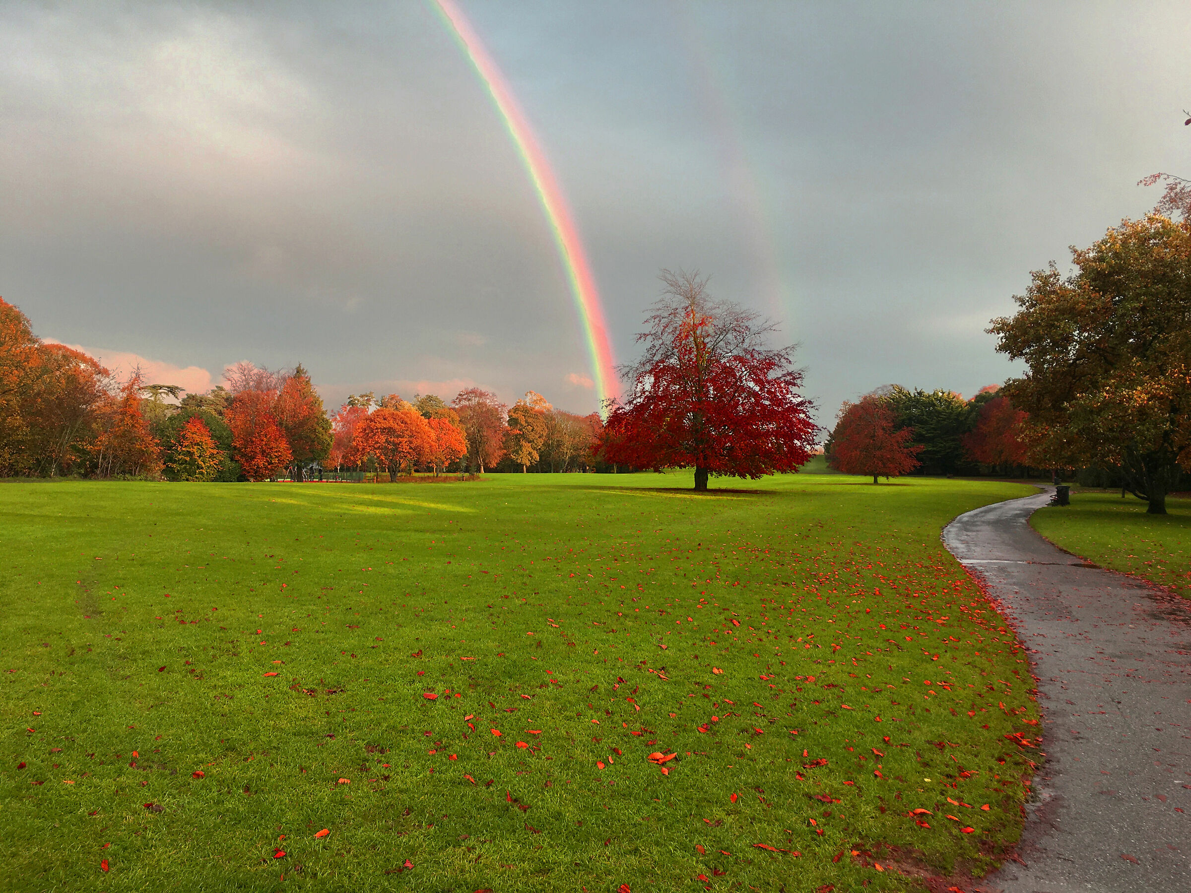 Rainbow