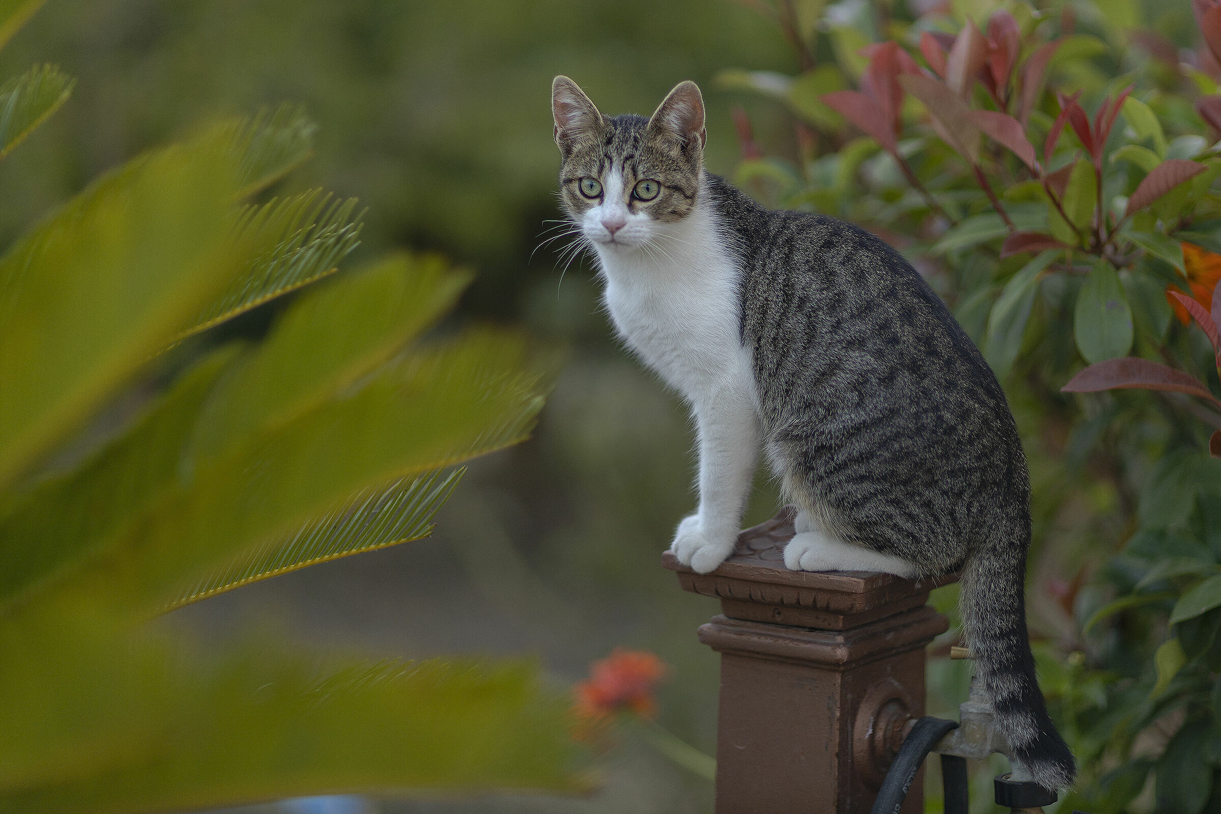 Che aspetti a scattare!