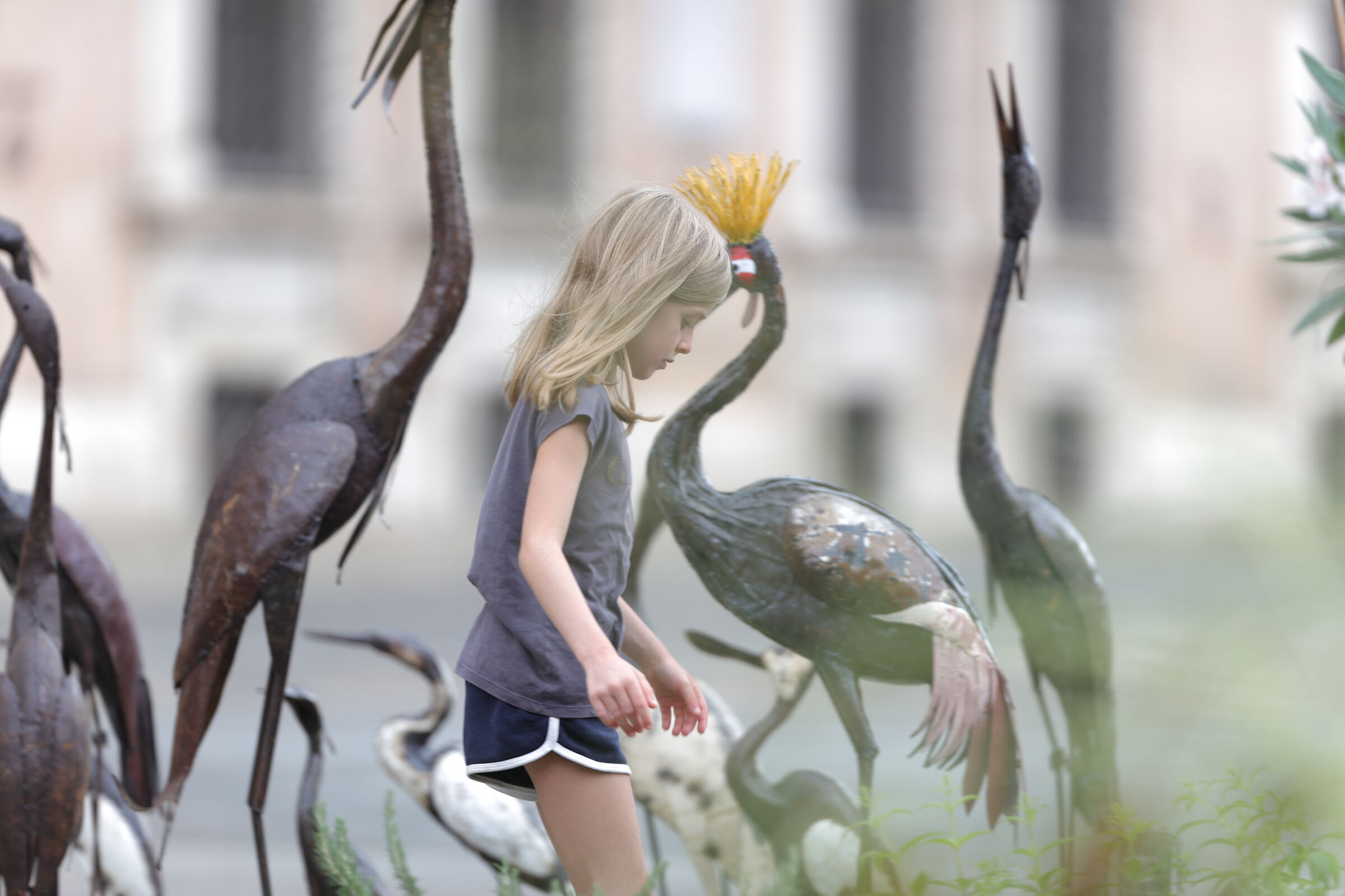 Jpg scatto e pubblico