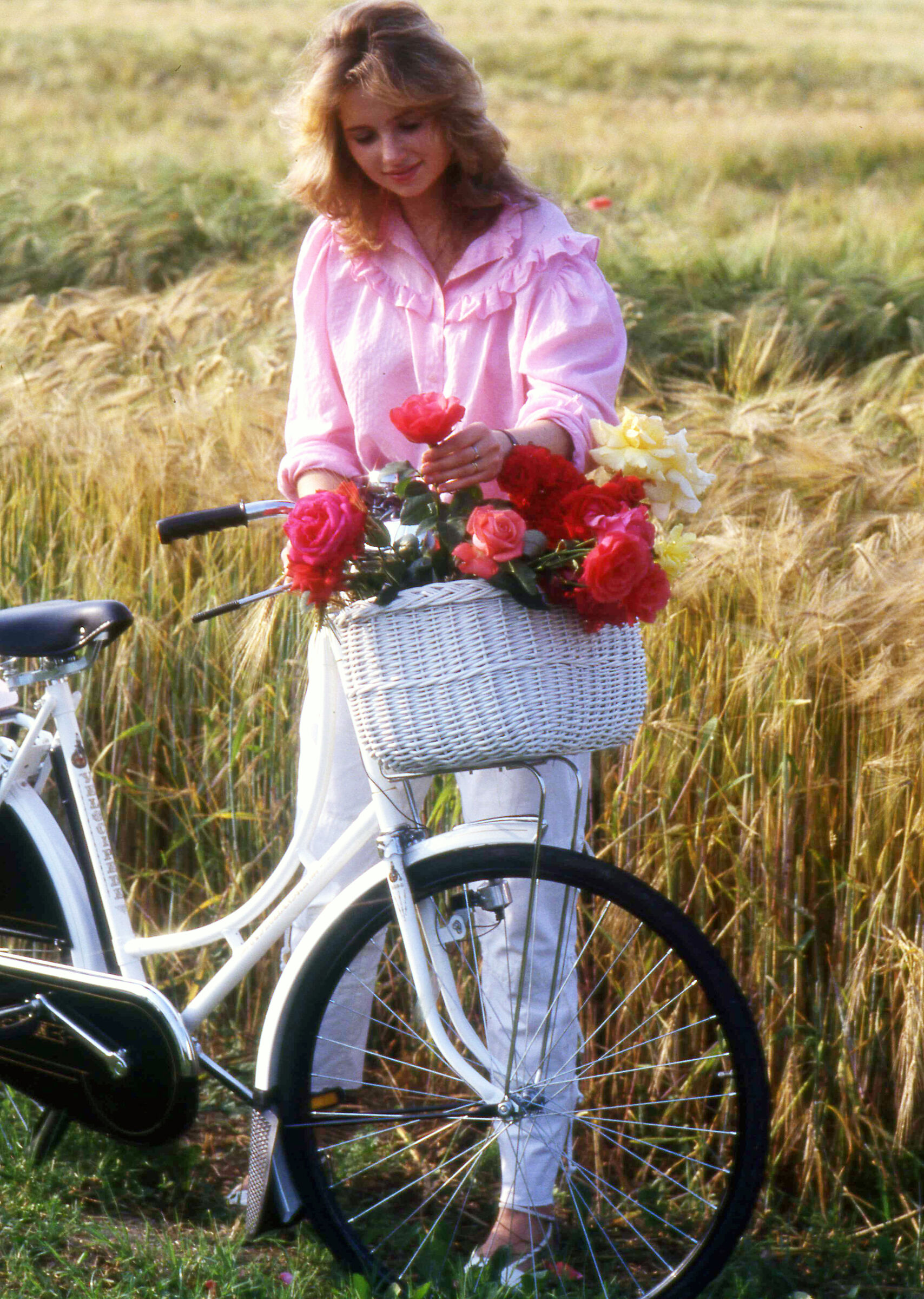 nel grano con le rose e la bici