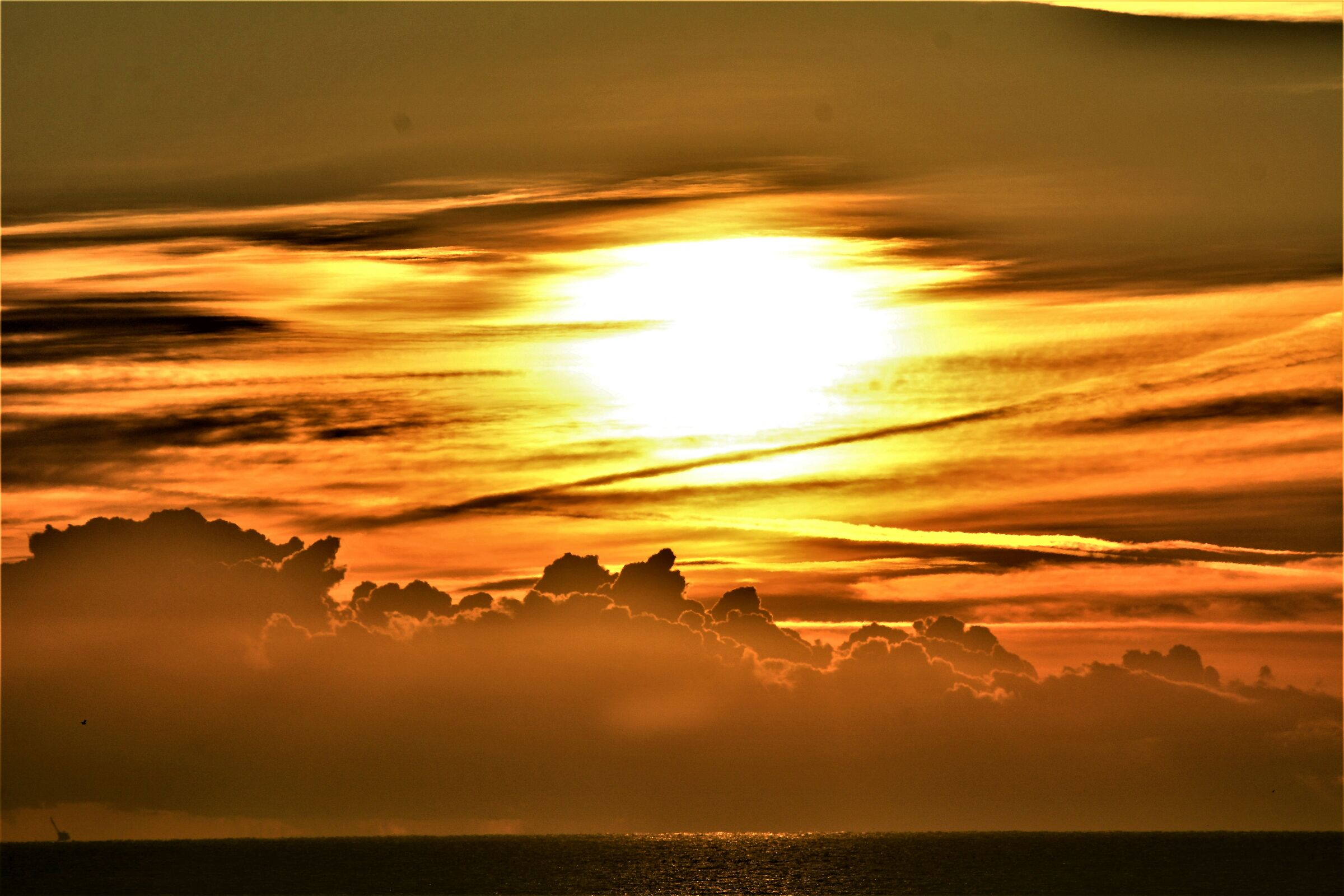 Ti levi bello all'orizzonte del cielo. Aton vivente....