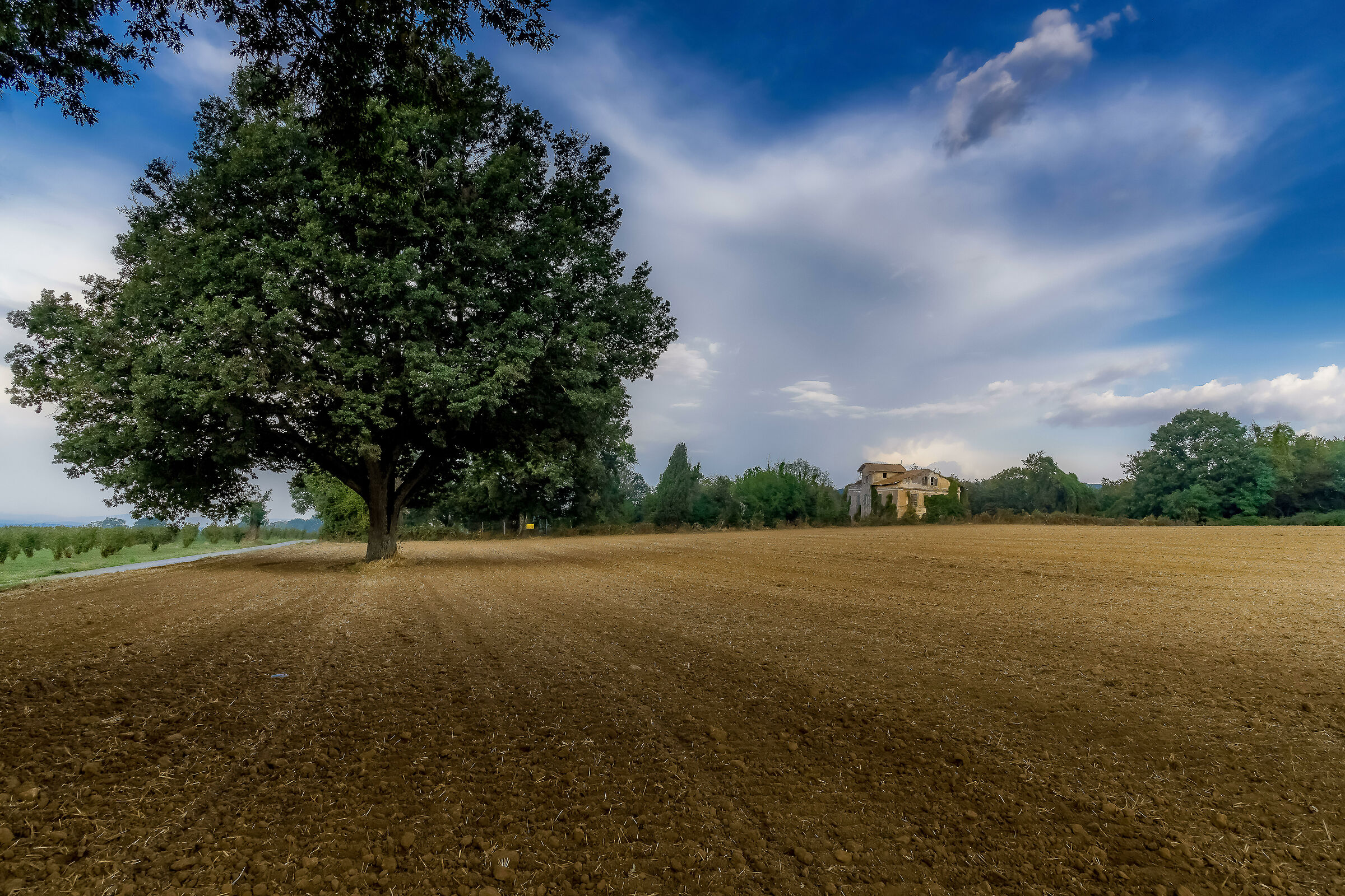 La Quercia