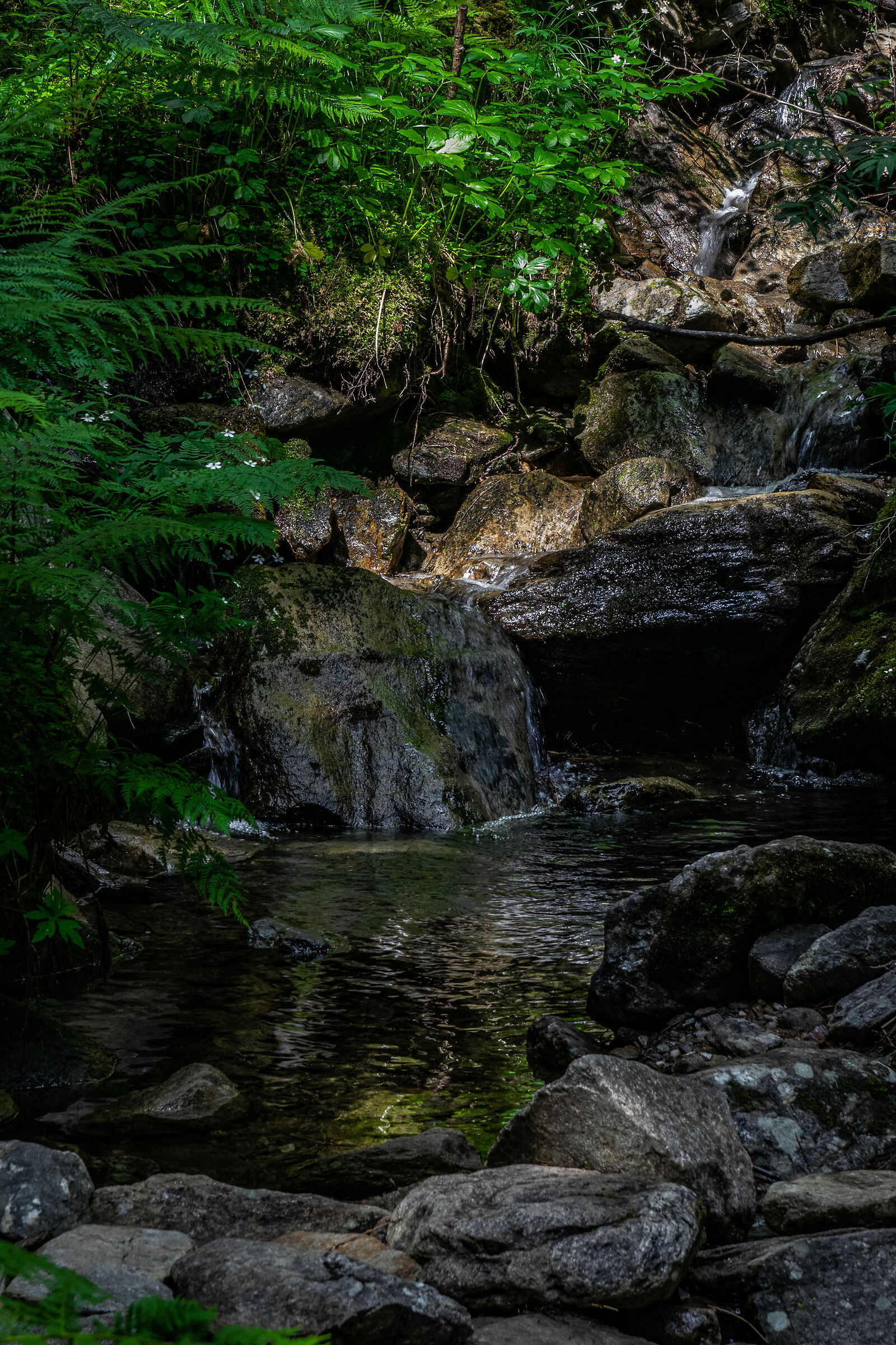 cascata in miniatura