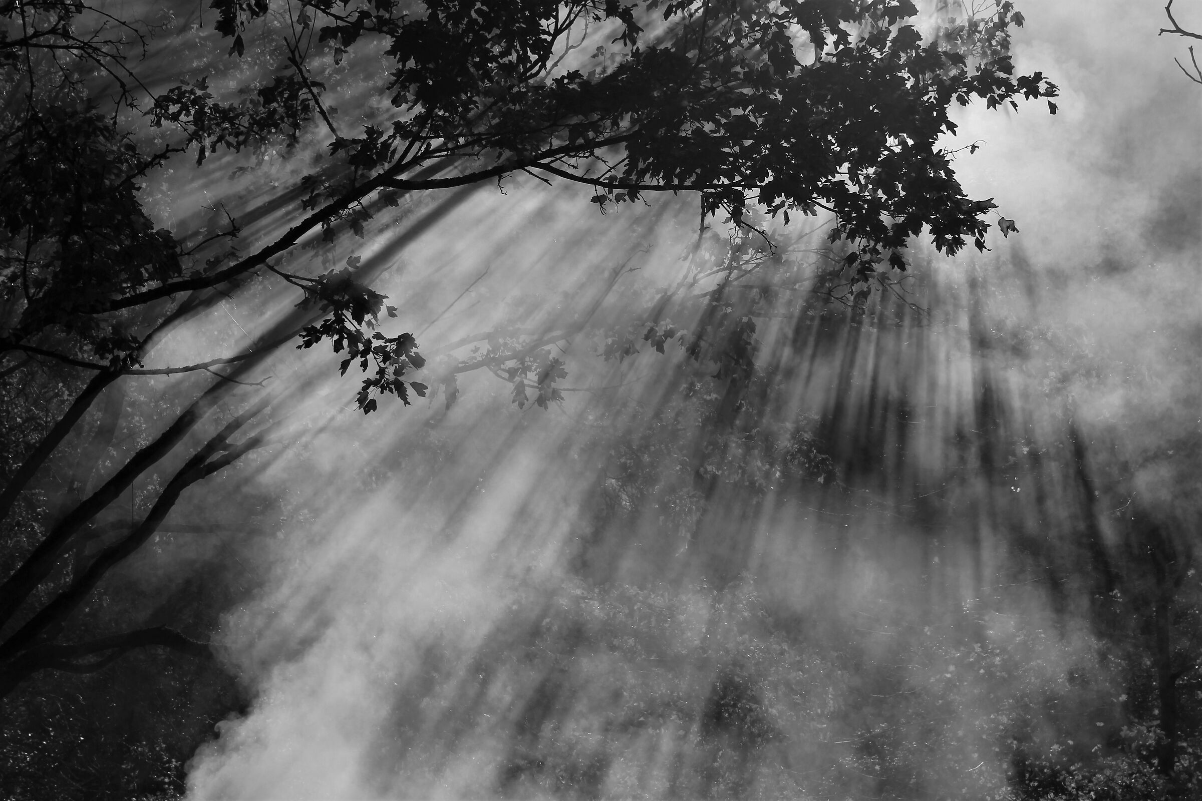 Untitled Photo