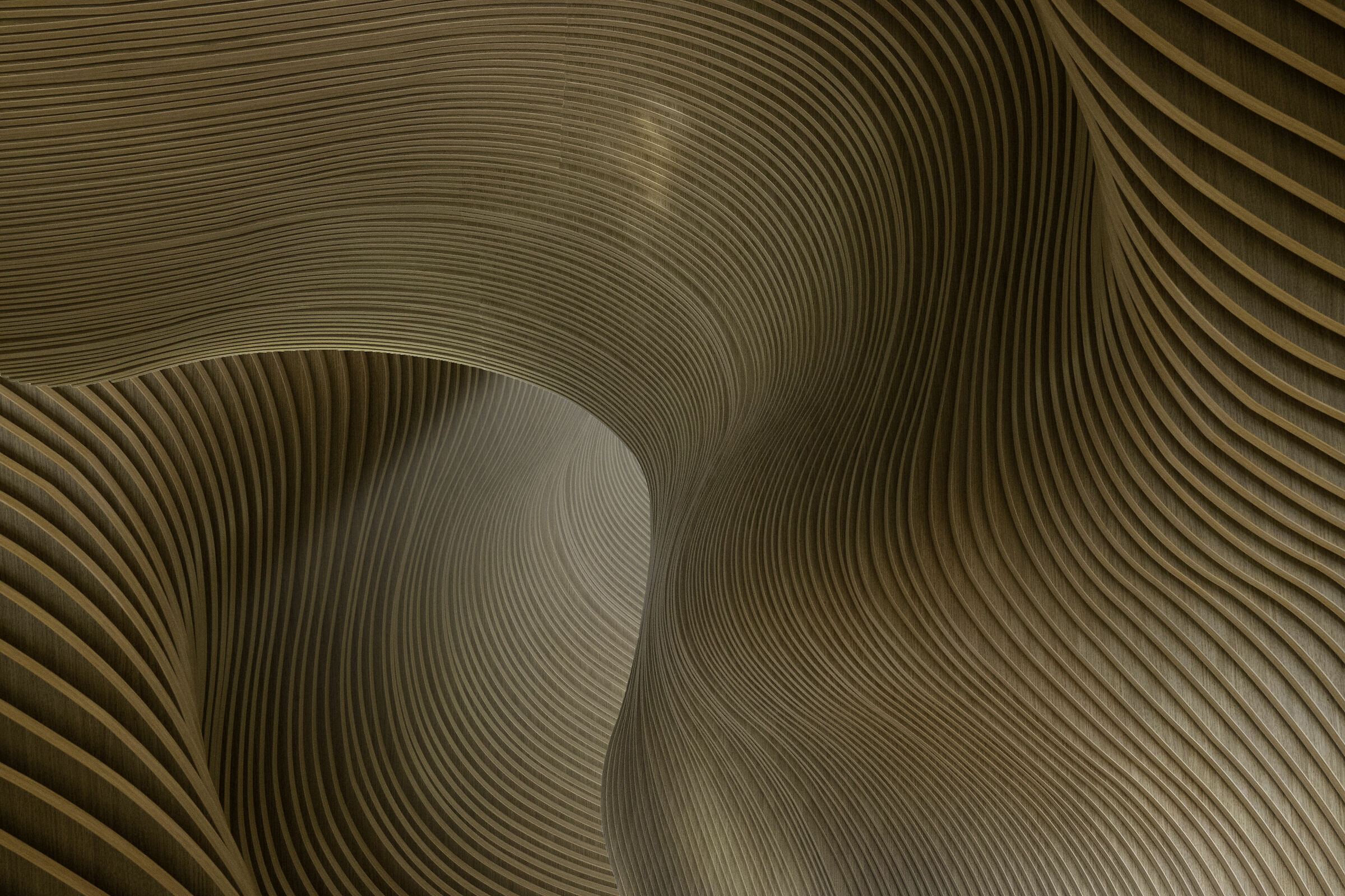 Wood and light