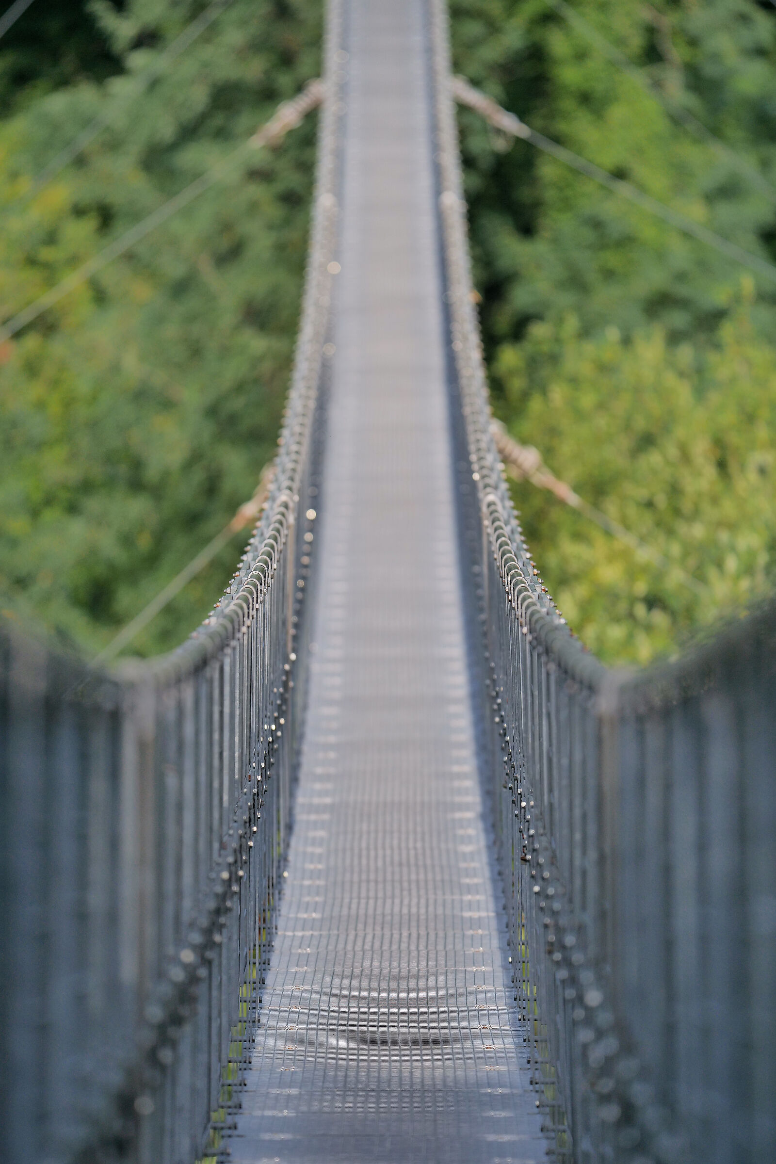 Towards the.....