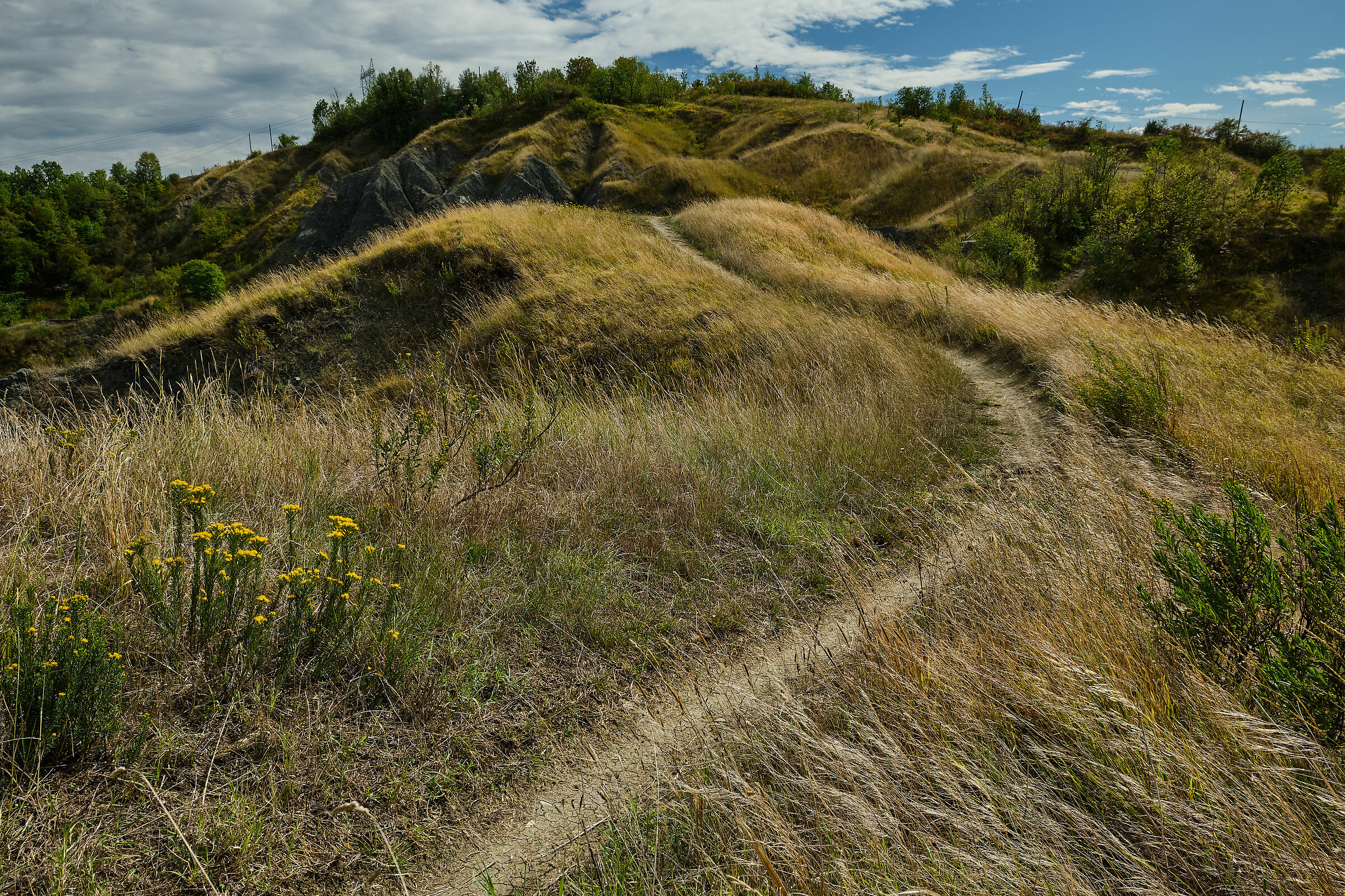 Sui Calanchi Bolognesi