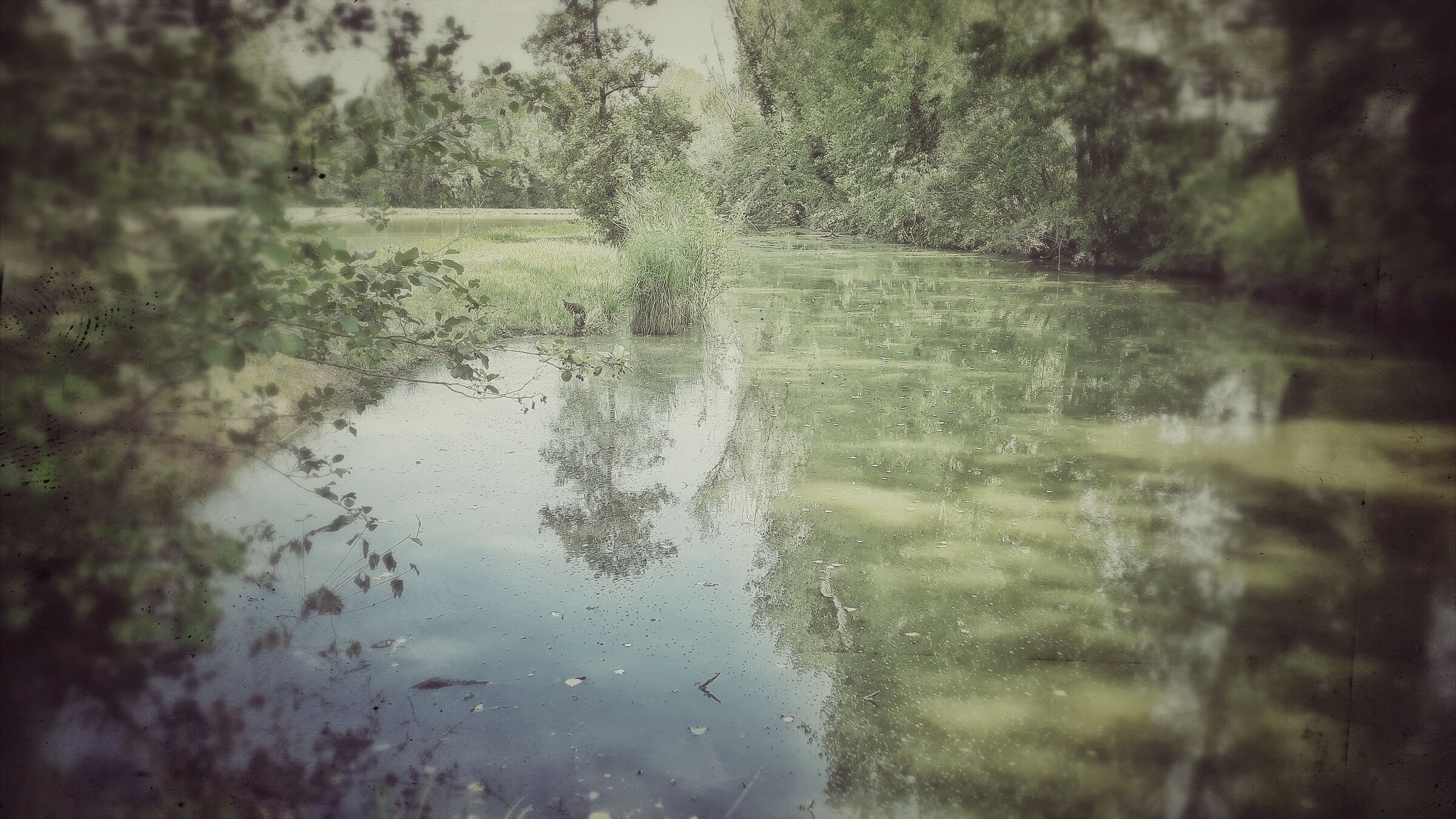 Samsung Galaxy A3 Autochrome 004