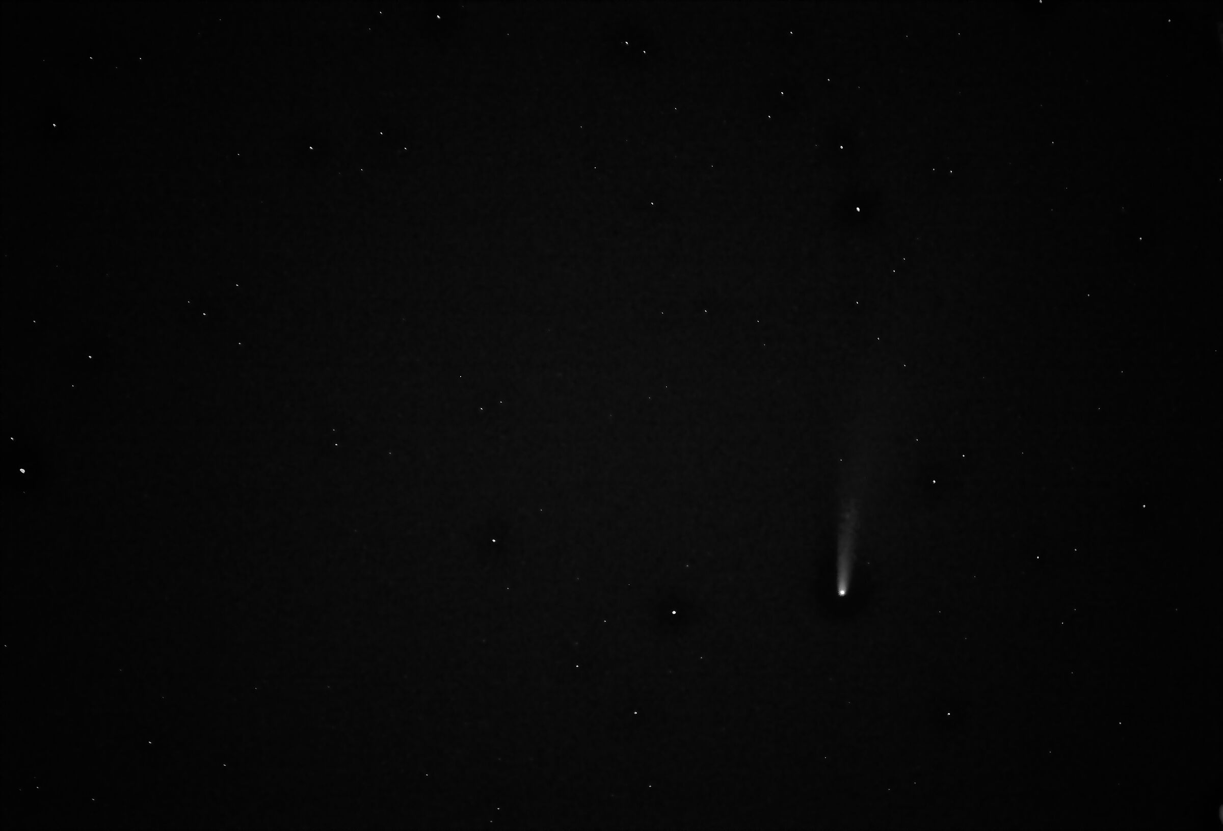 Comet Neowise.