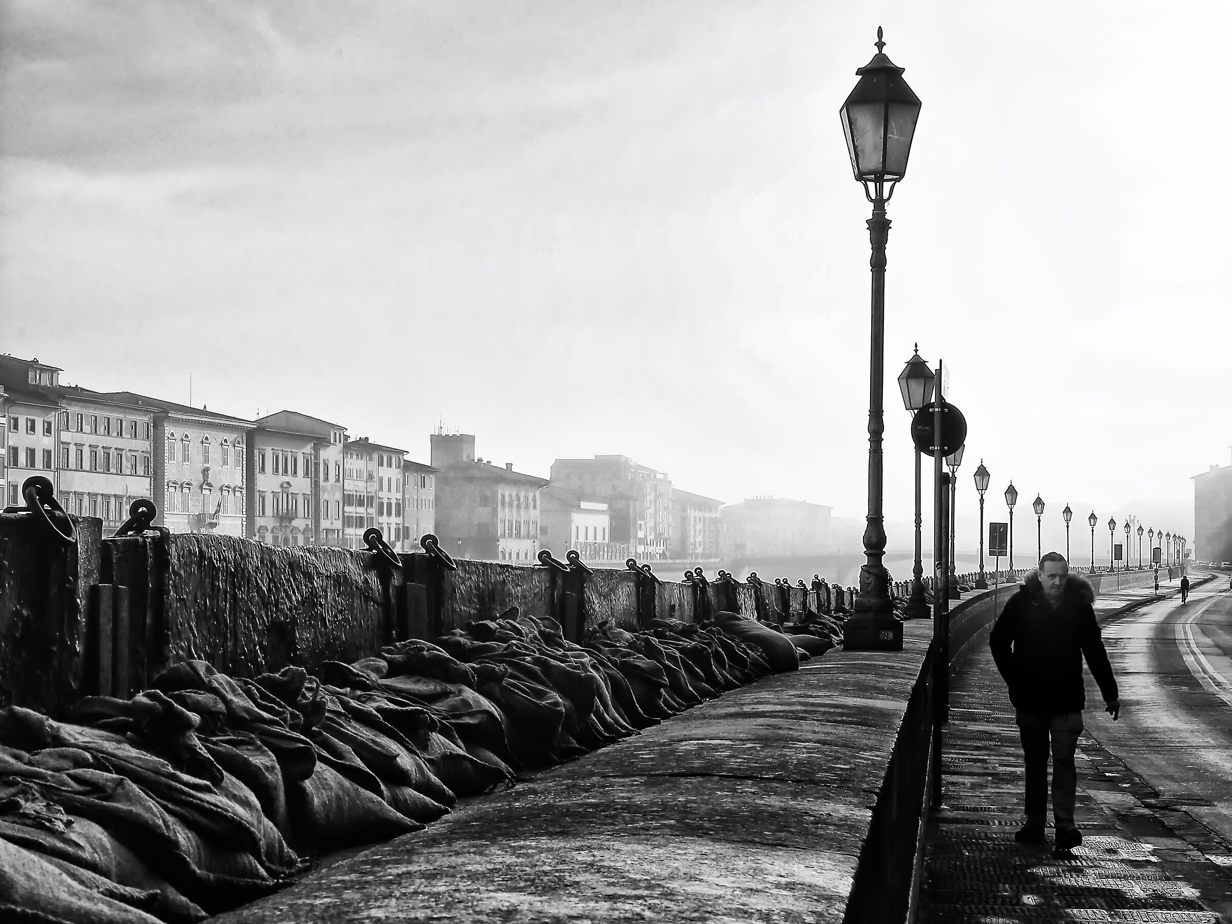 on the banks of the Arno