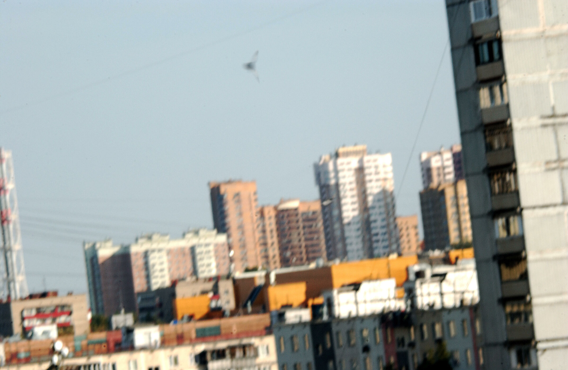 Vista urbana n. 10 (con angelo volante)