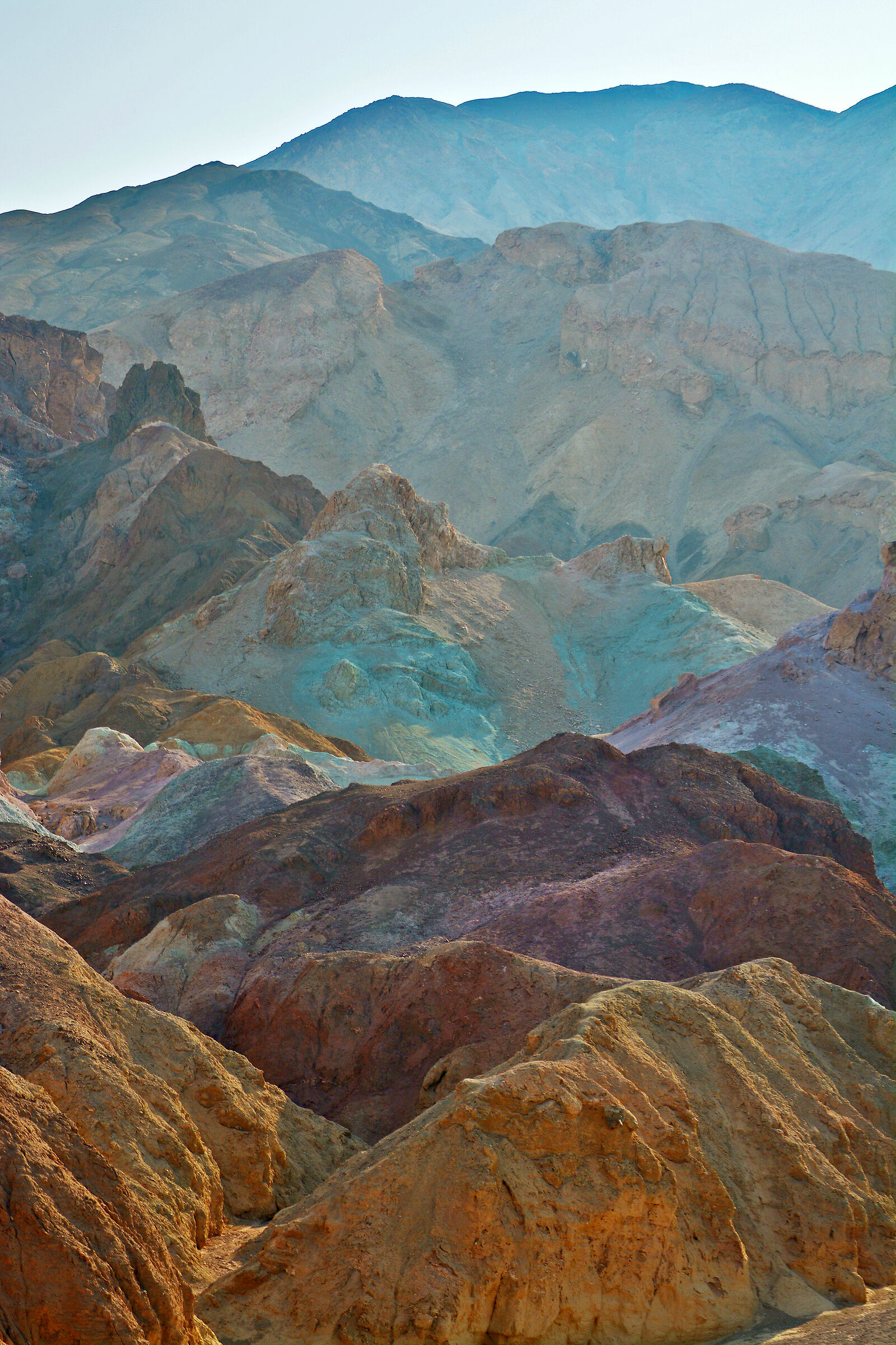 Palette