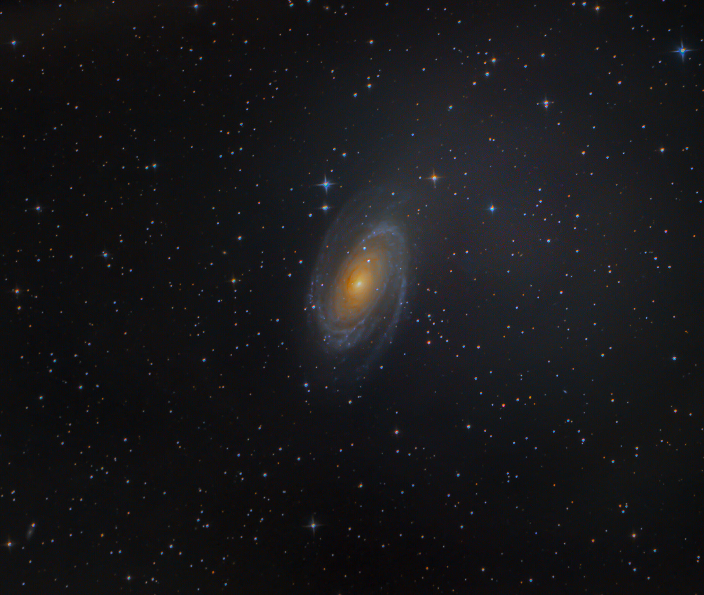 Galassia di Bode - M81