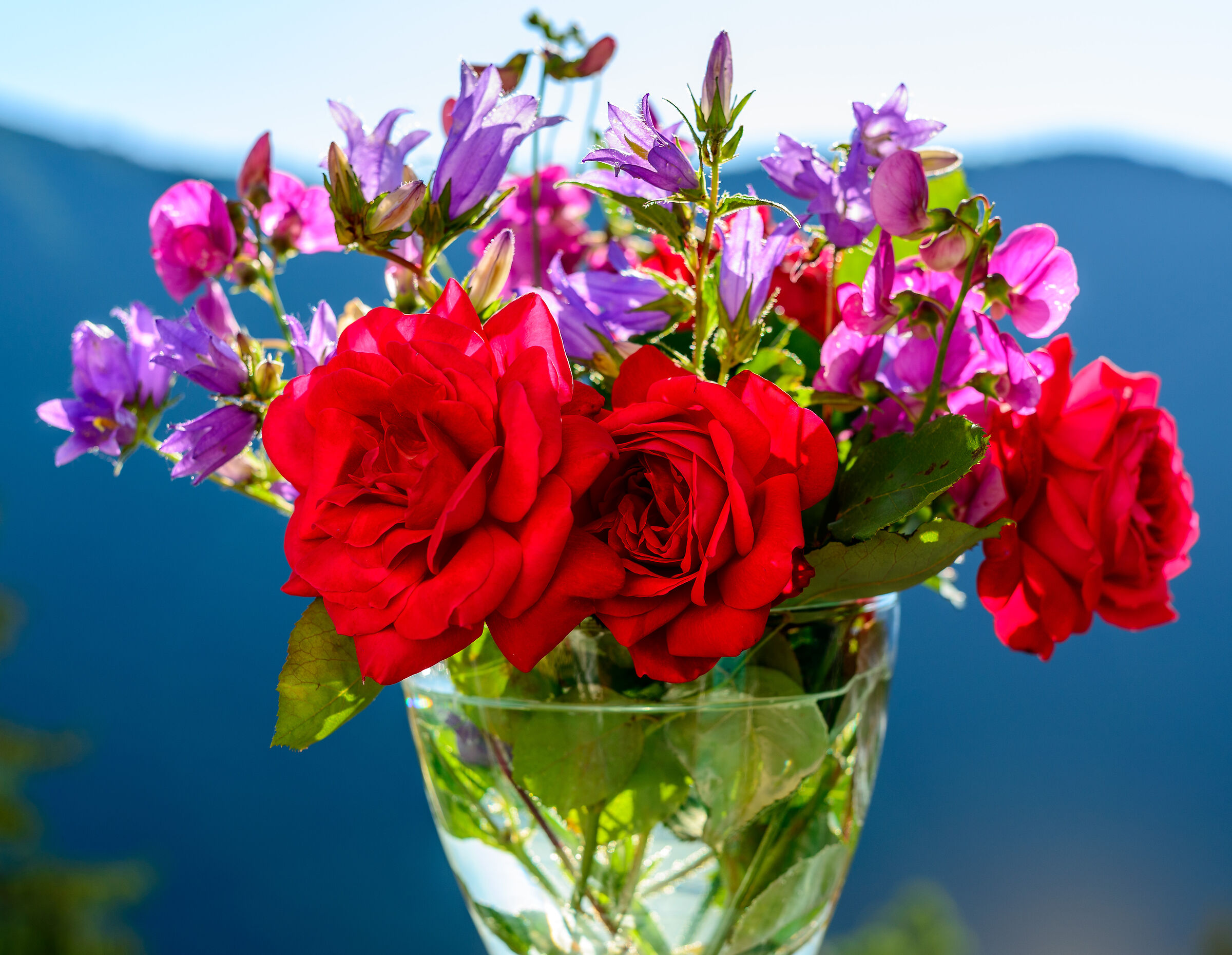 Rose e fiori di montagna