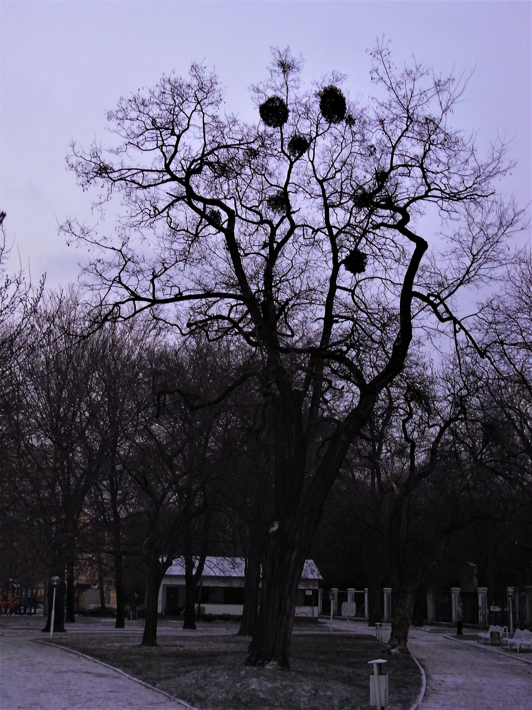 Bratislava 2009