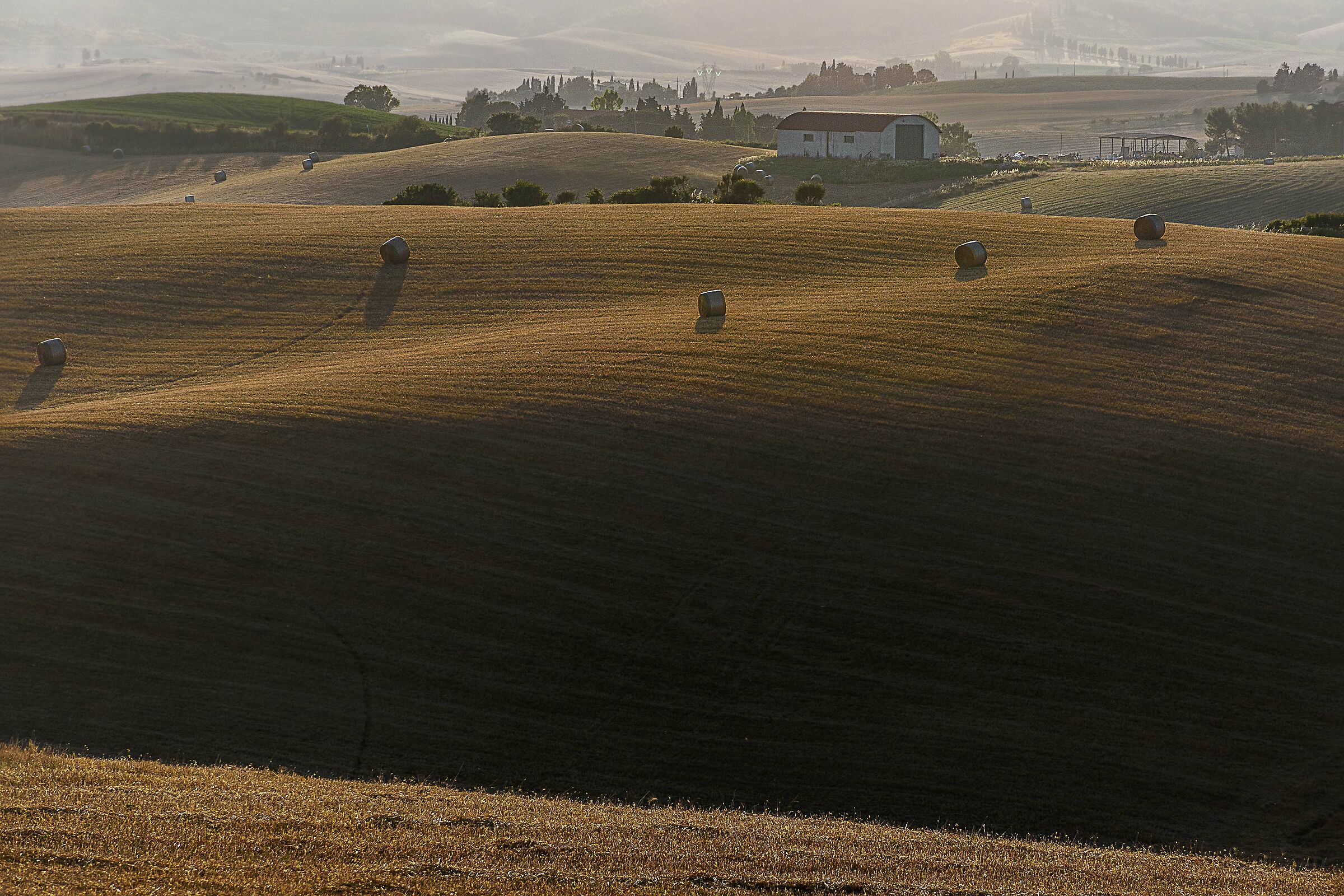Campagna toscana