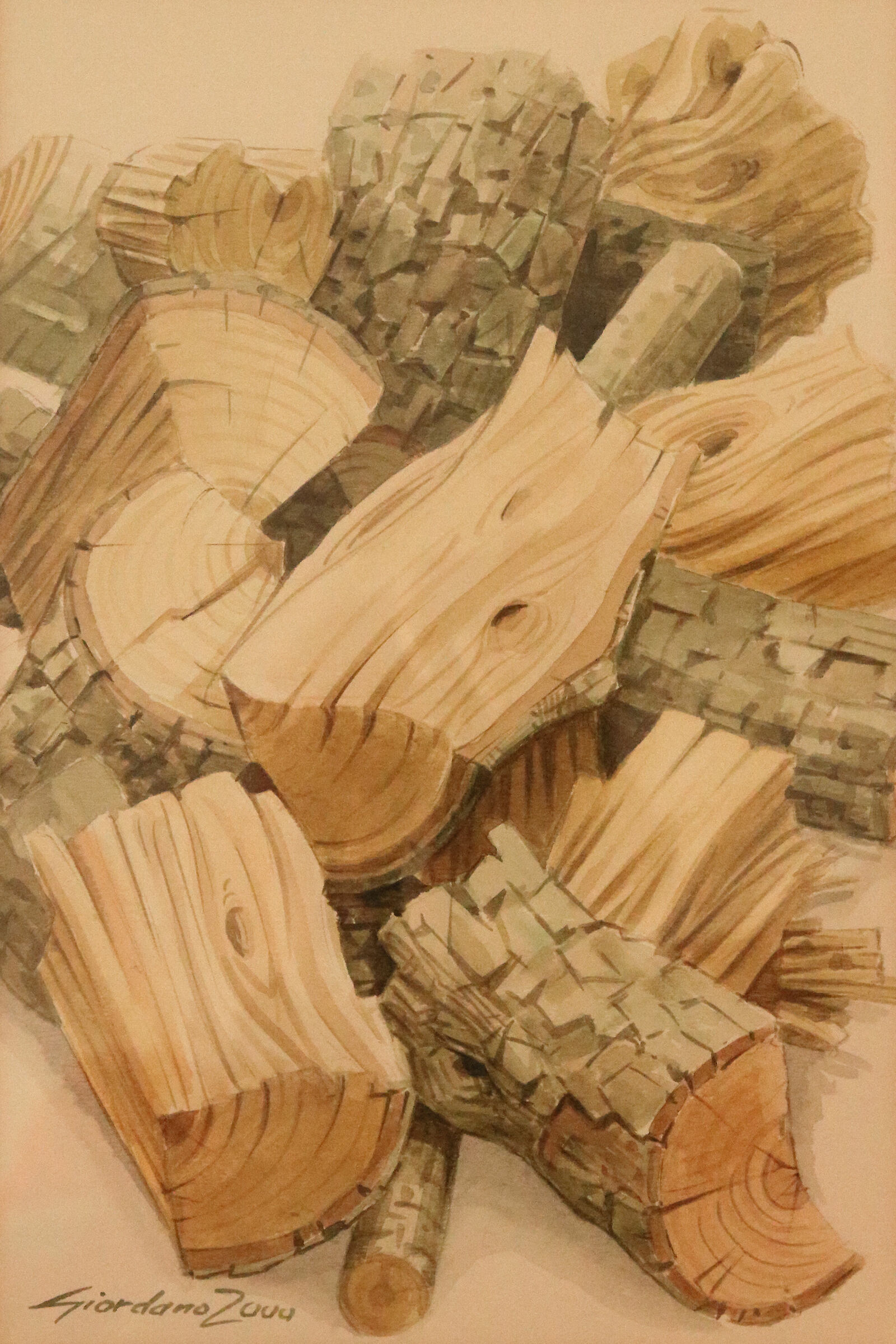 mio acquarello "legna"
