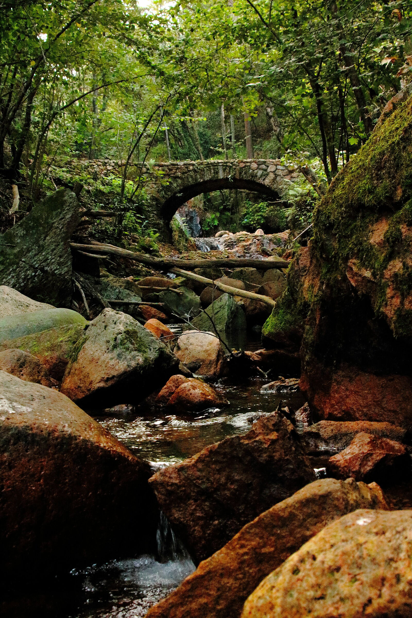 ... and just further up there, the bridge...