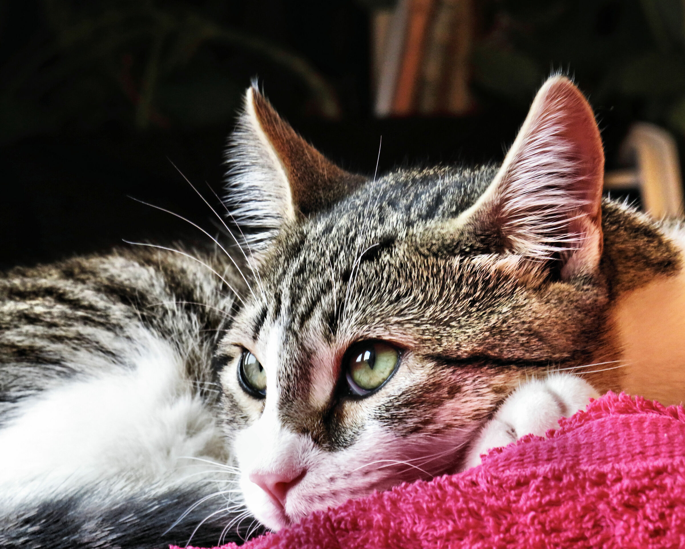 in attesa che smetta di piovere