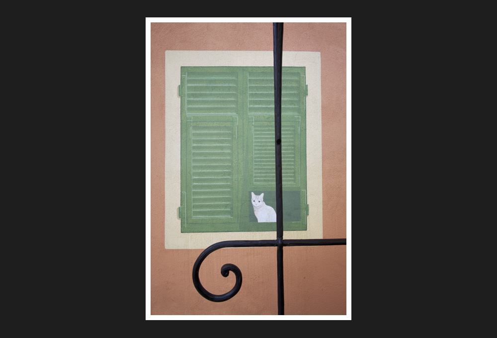 Window with cat, 2017