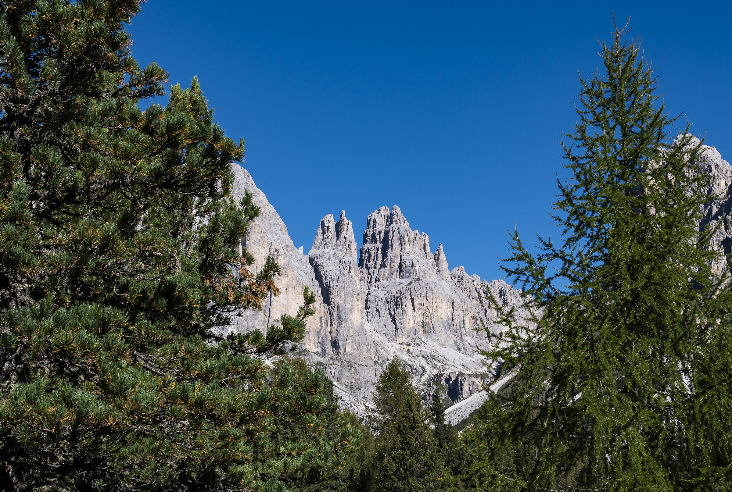 Le Torri del Vajolet.