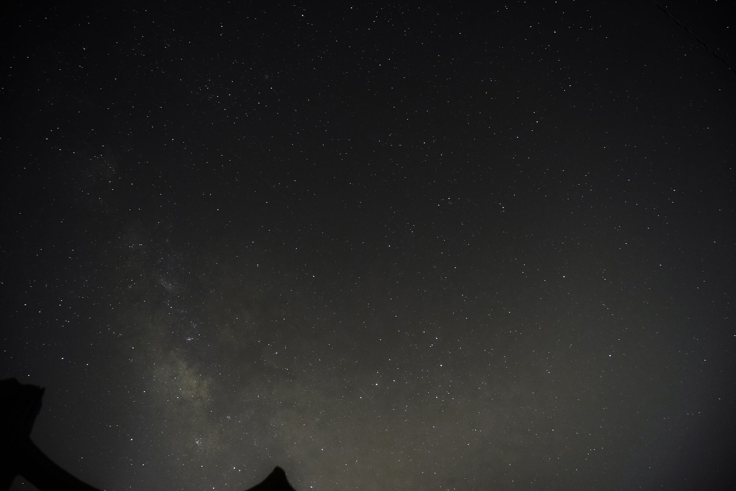 Where will I go without a tracker?