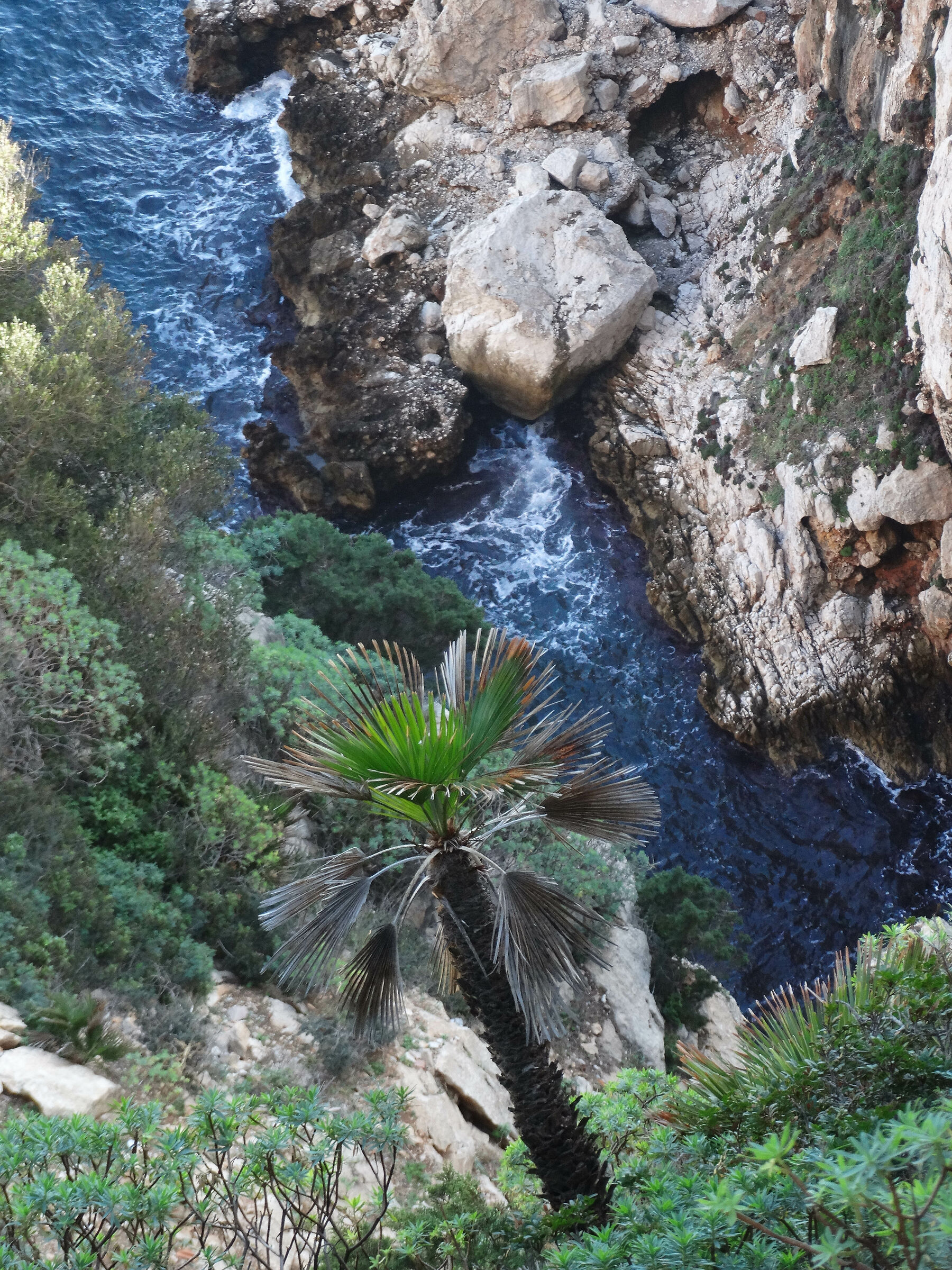 what are you doing there?