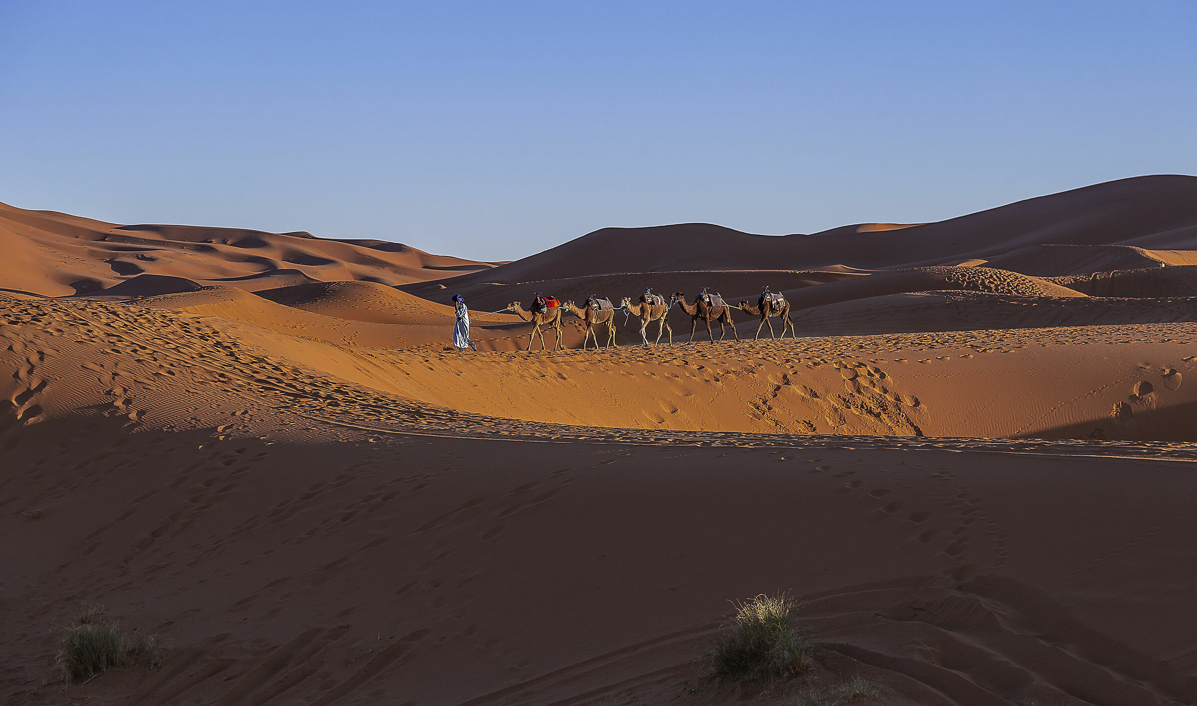 deserto
