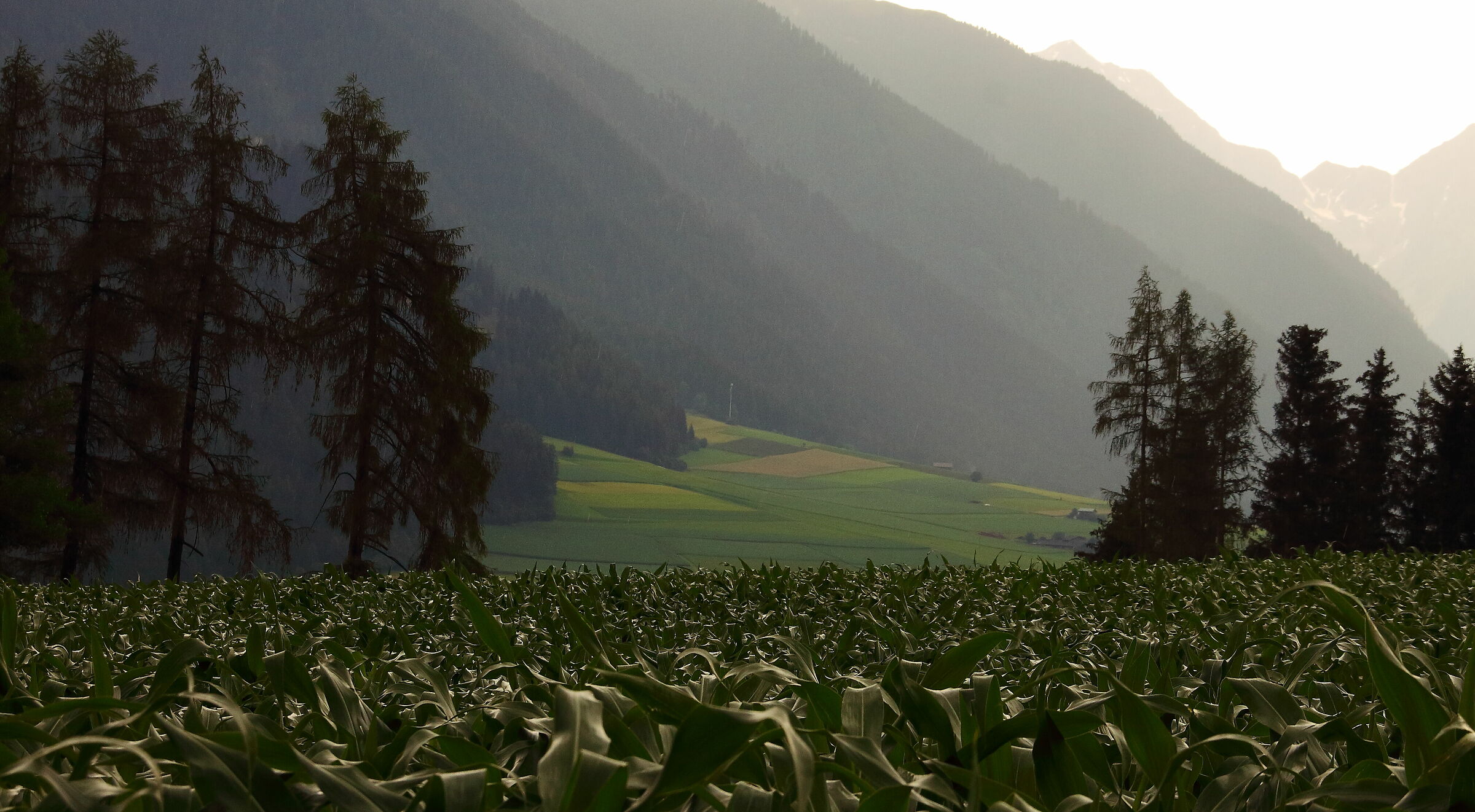 trentino a.a.