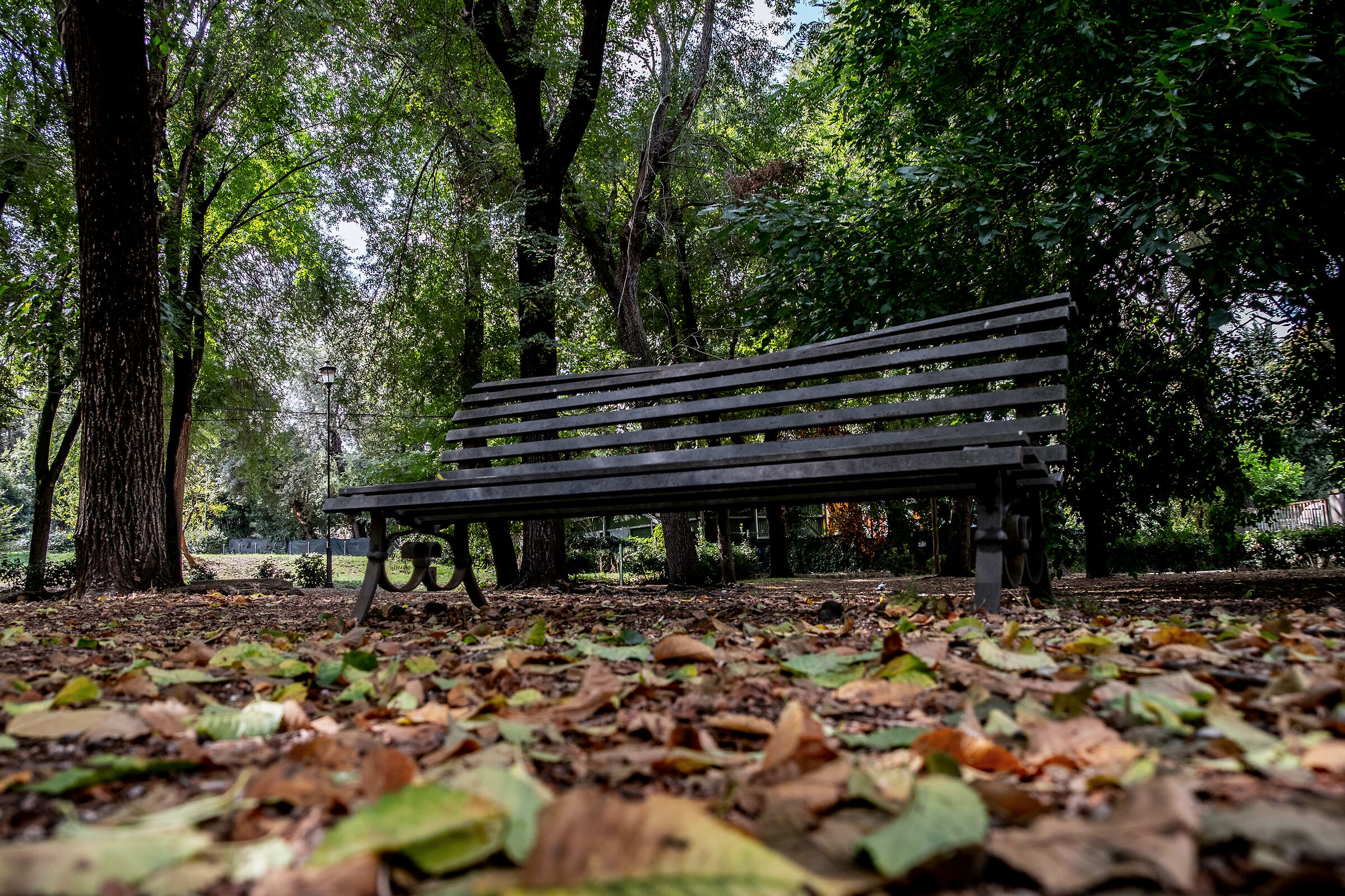 Autunno al Parco degli Scipioni