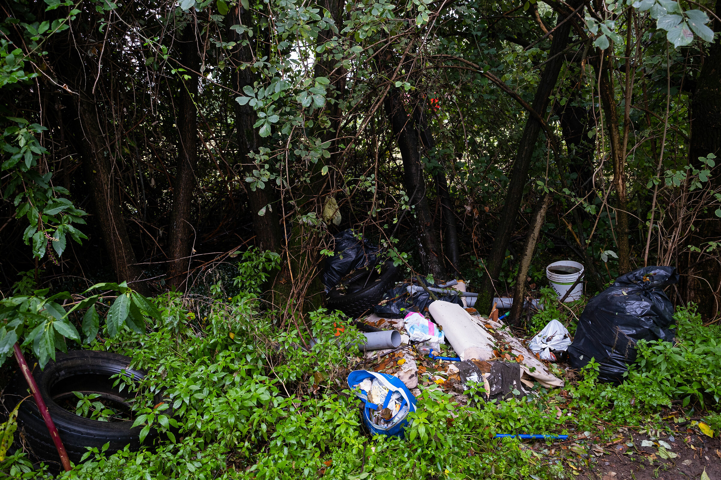 ingresso di un bosco 2 girato dal'altro lato