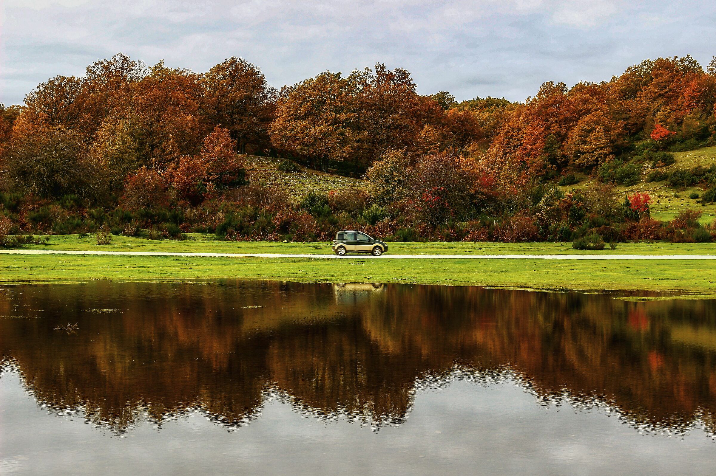 Reflections