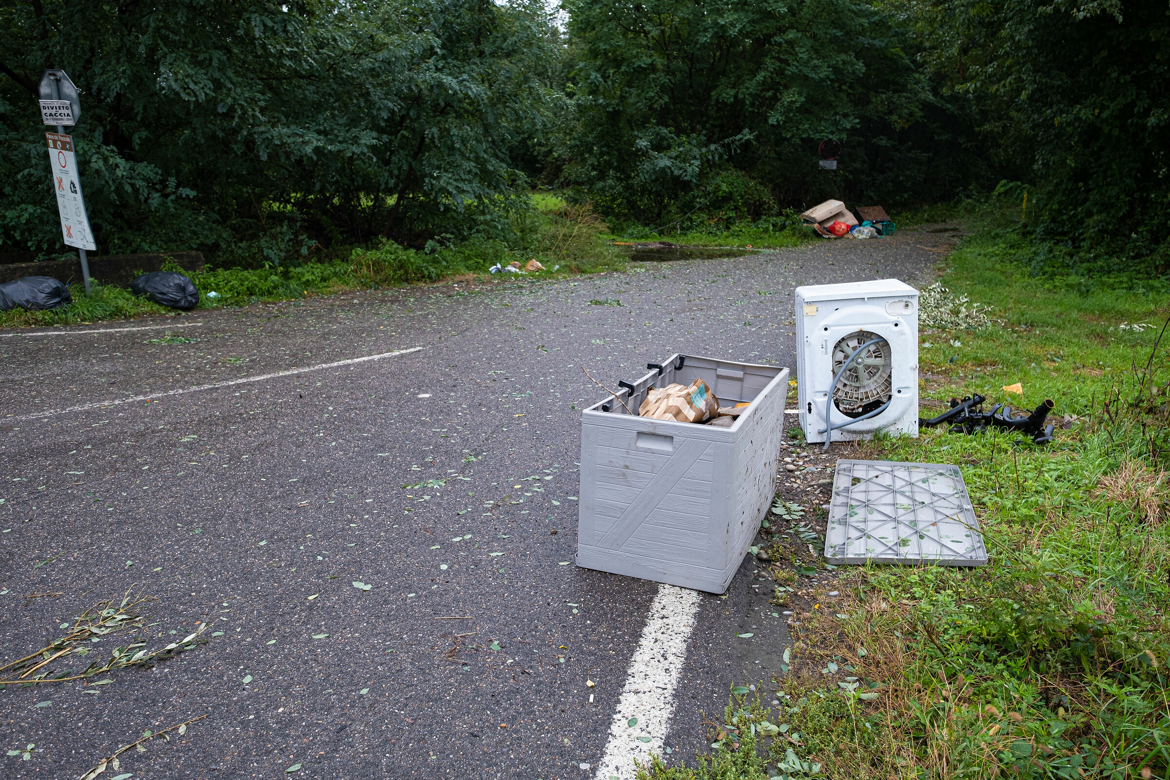 ingresso di un bosco 4