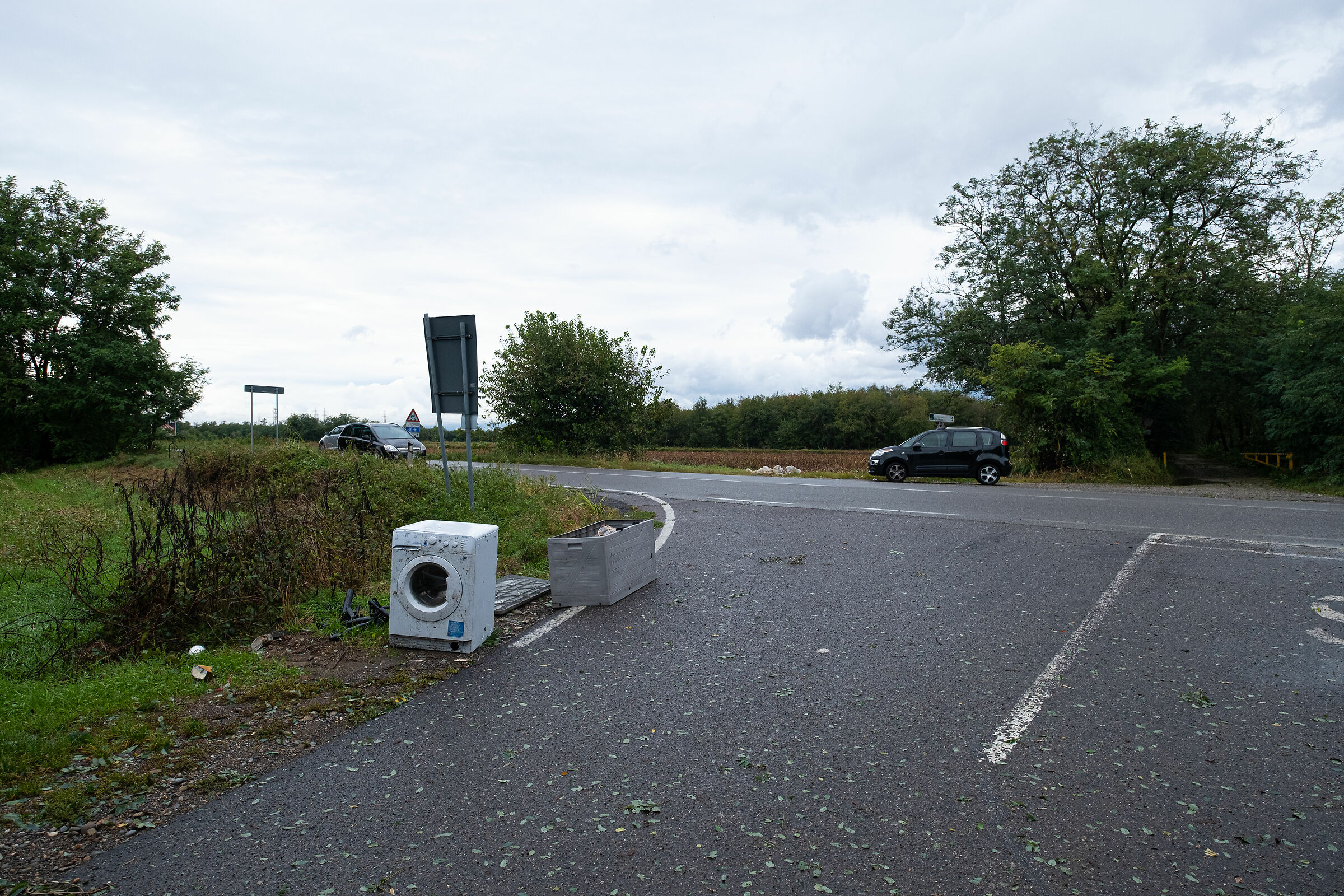ingresso di un bosco 4 - 3°