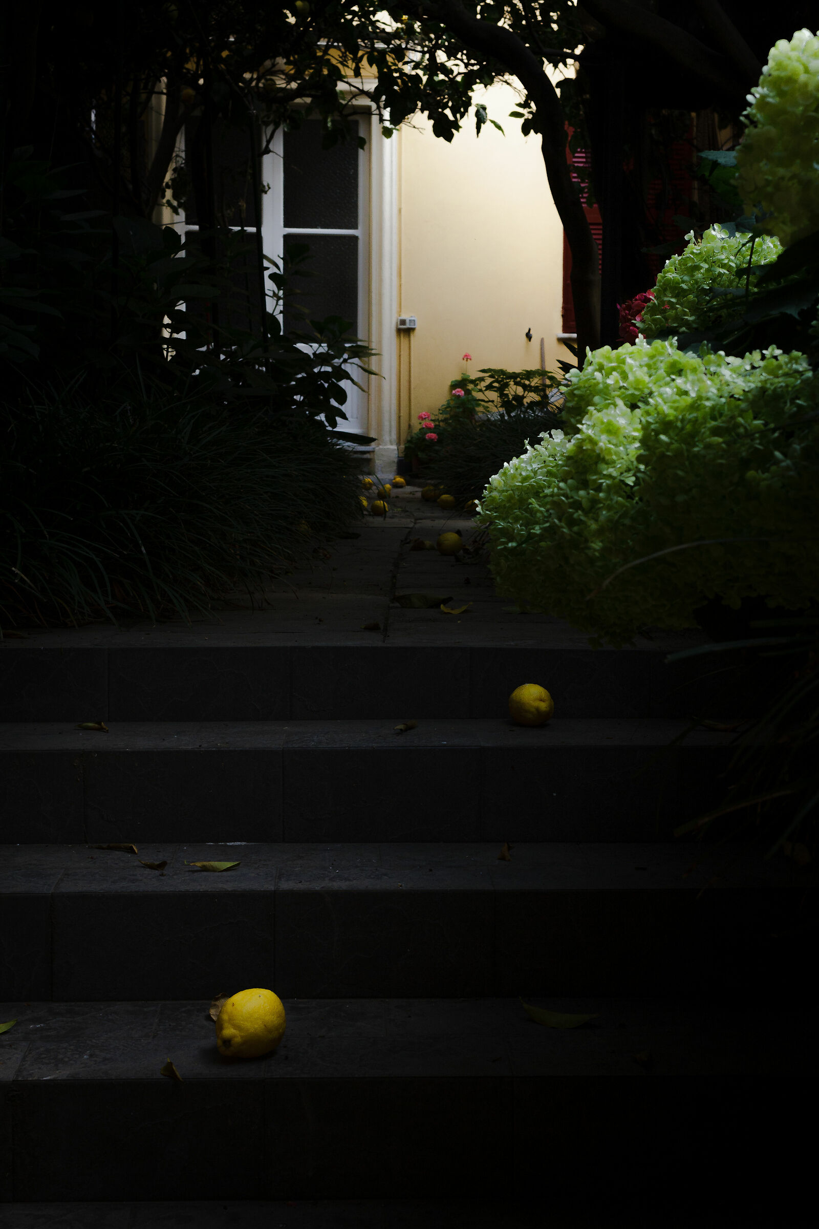 When life gives you lemons...