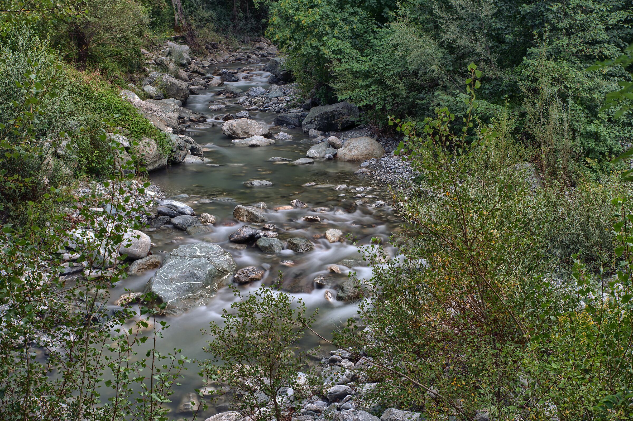 Bosco Magnano (Chiaromonte - Basilicata)