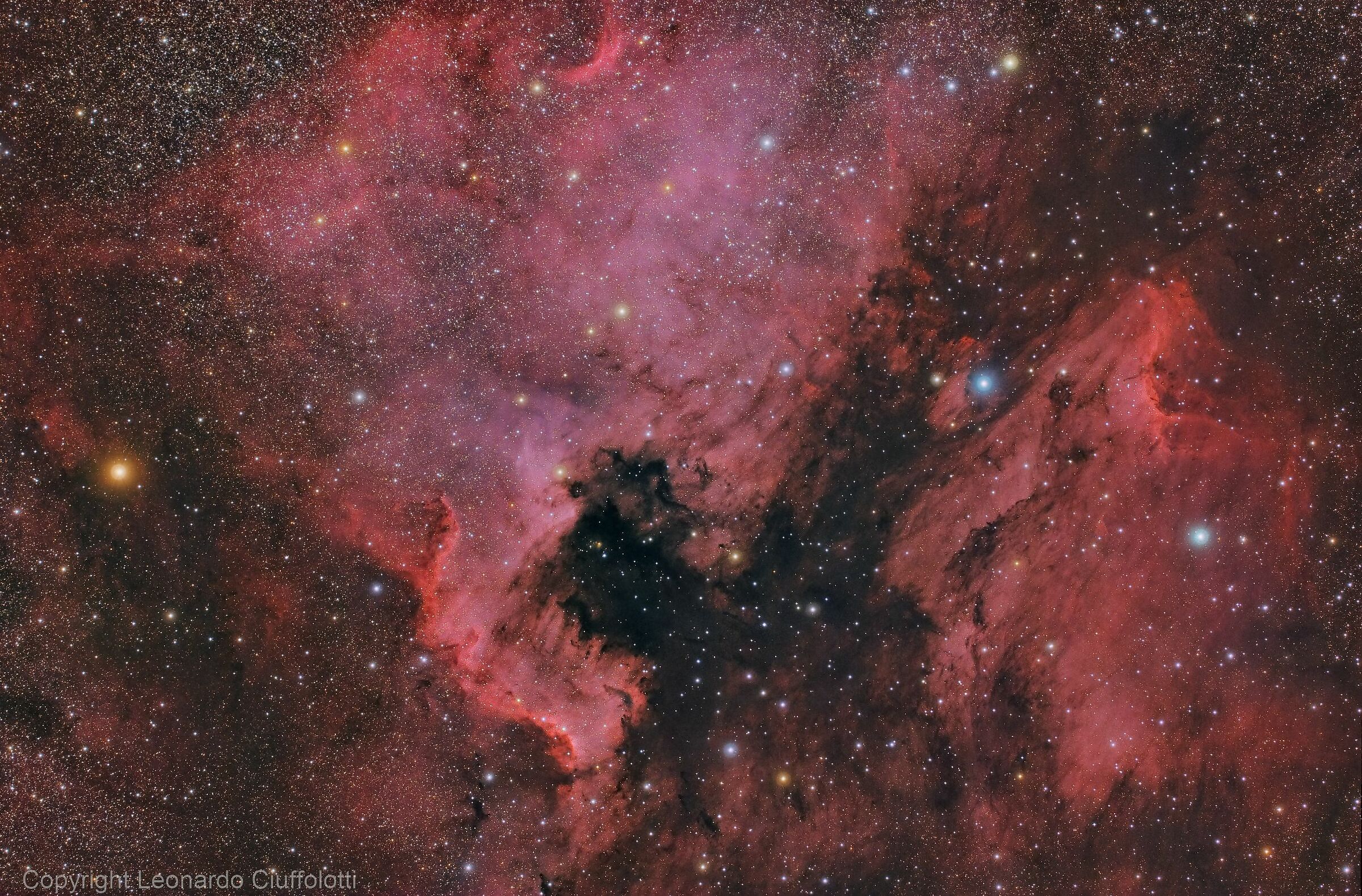 NGC 7000 North America in Cygnus