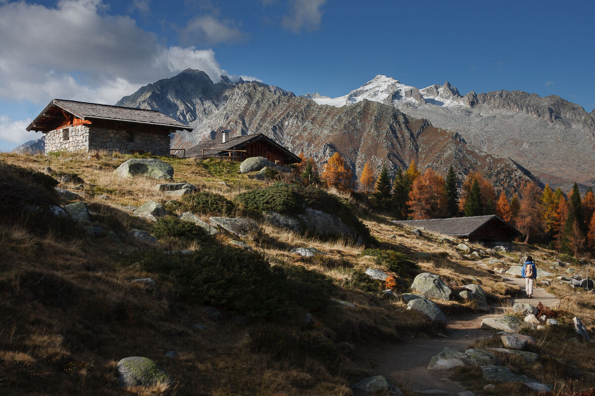 Alla malga di San Giuliano ...