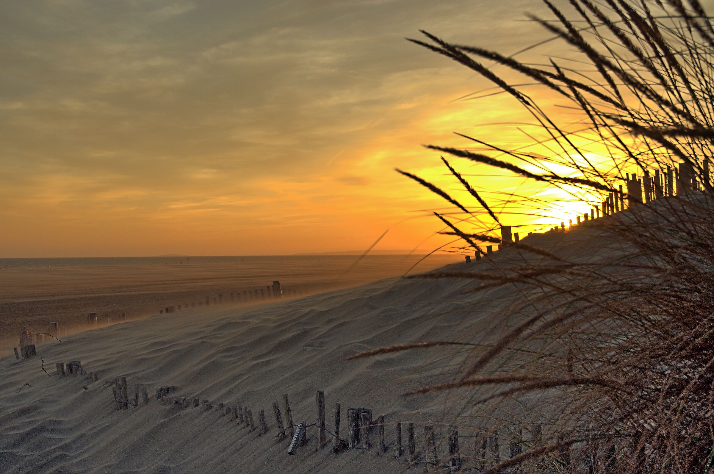 Wind tracks on the sand