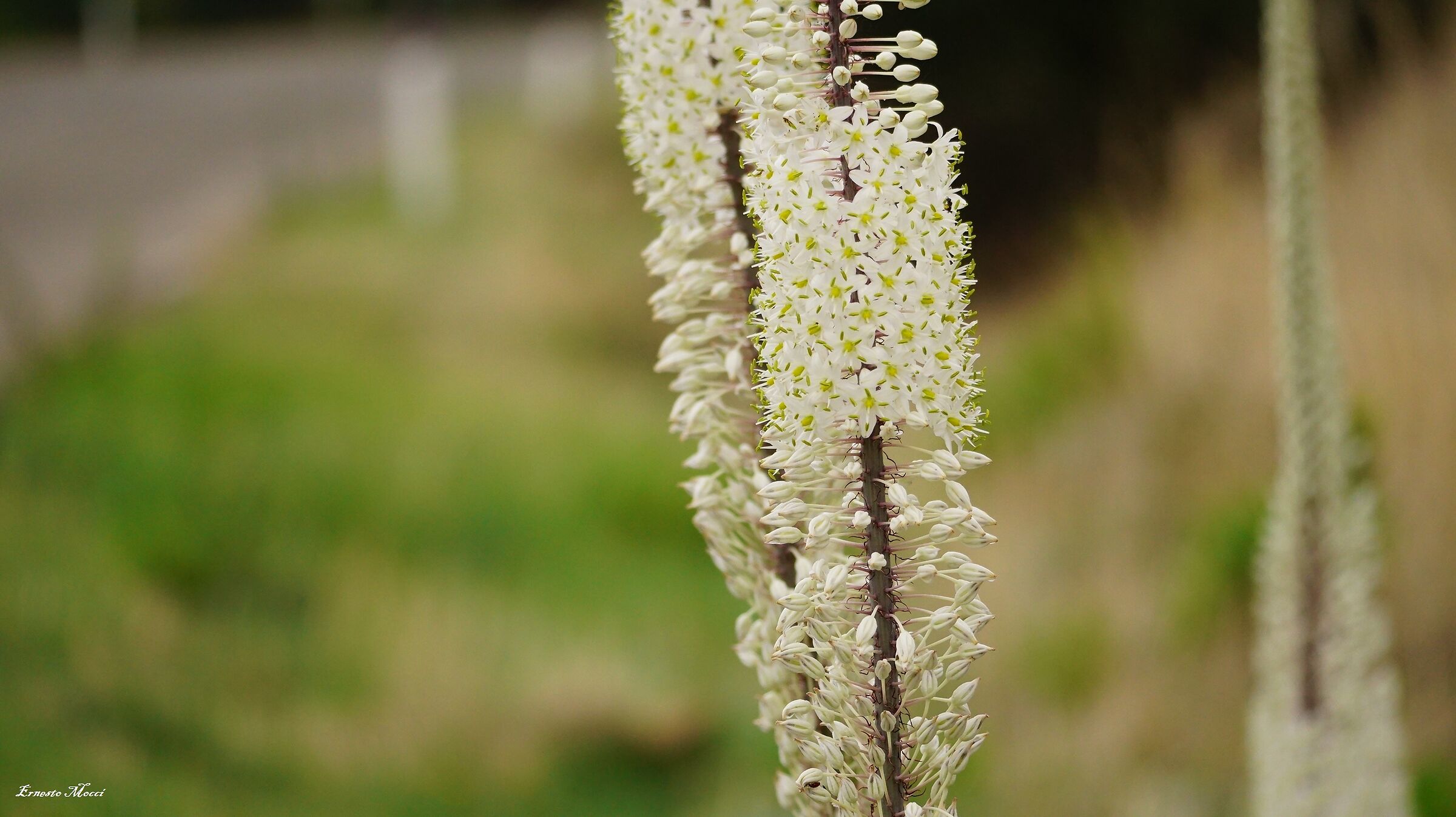 I met you on my Road ......