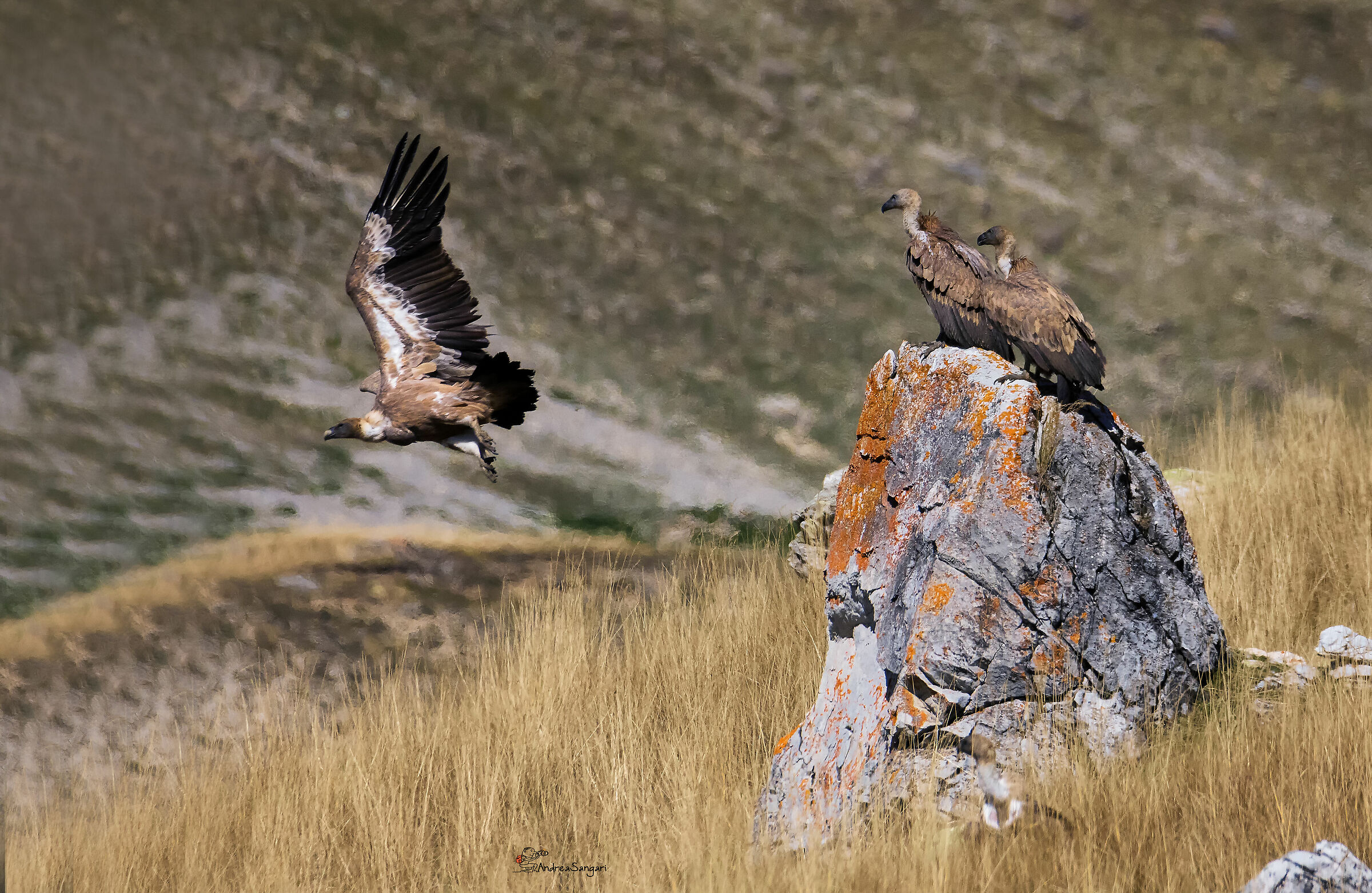 Beyond my thought....