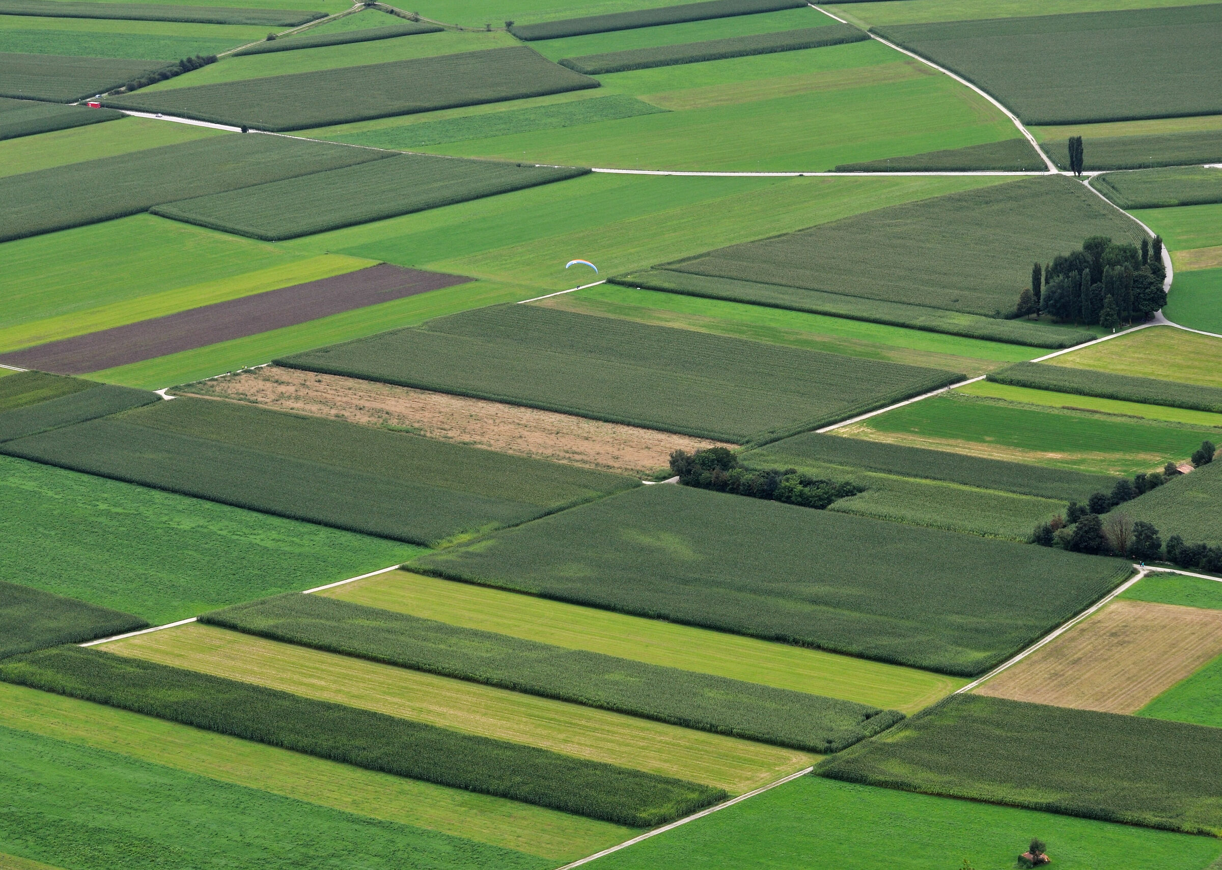 Geometrie e territorio