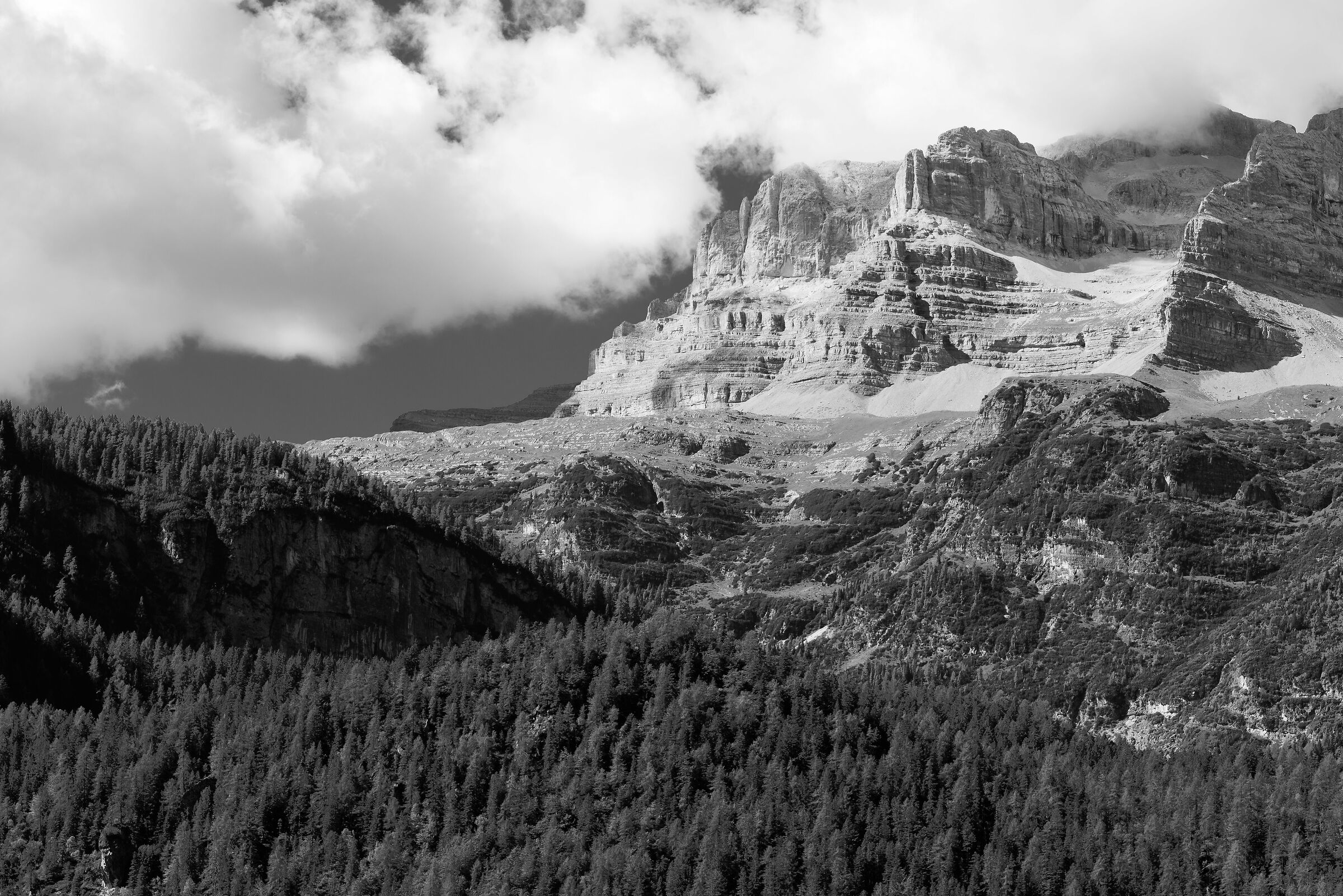 Dolomiti B&W