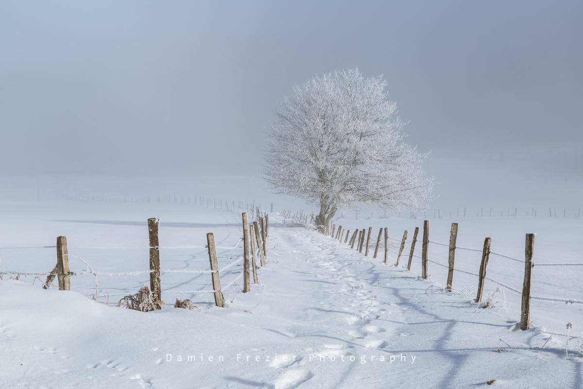 La calma dell'inverno