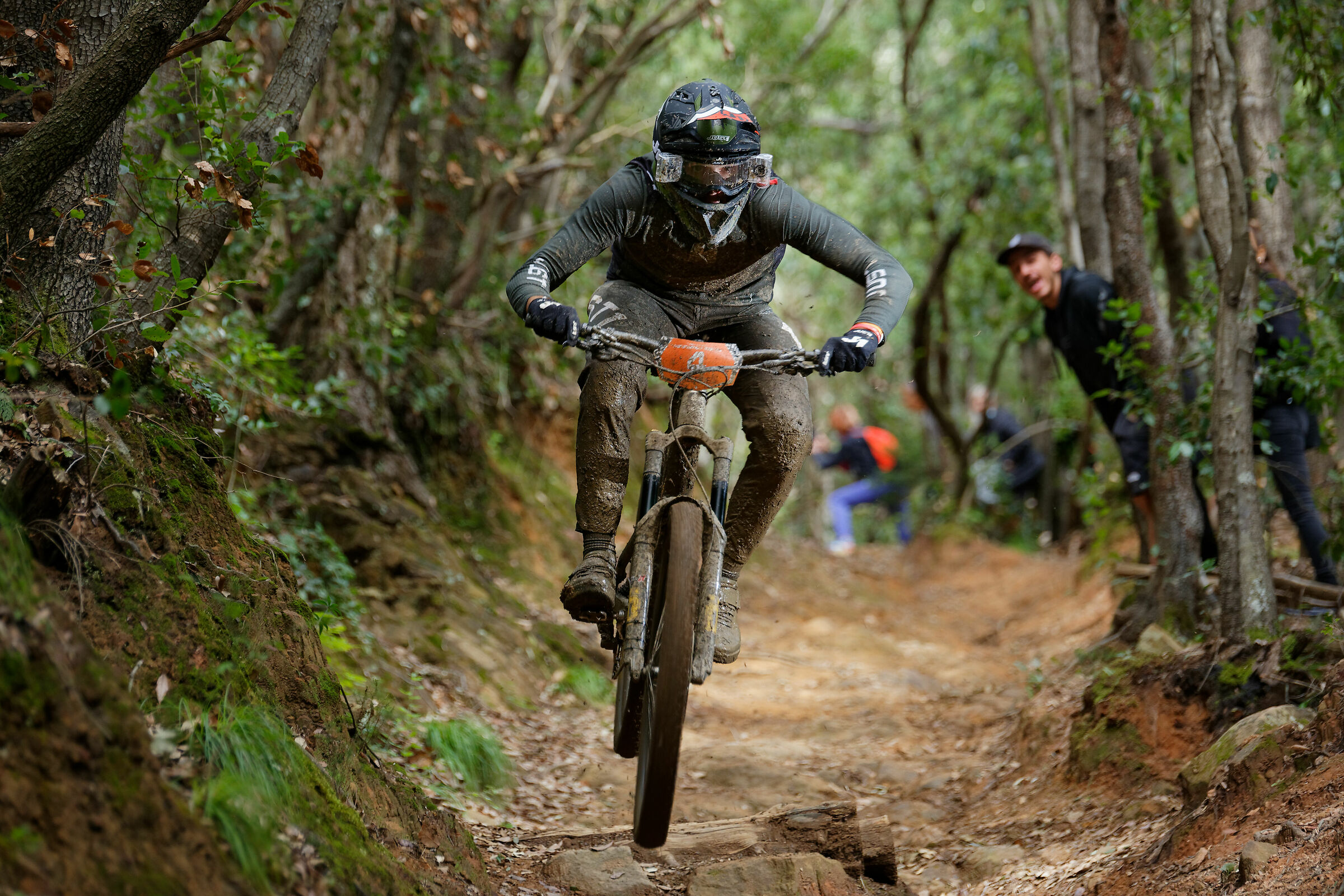 L'occhio della tigre