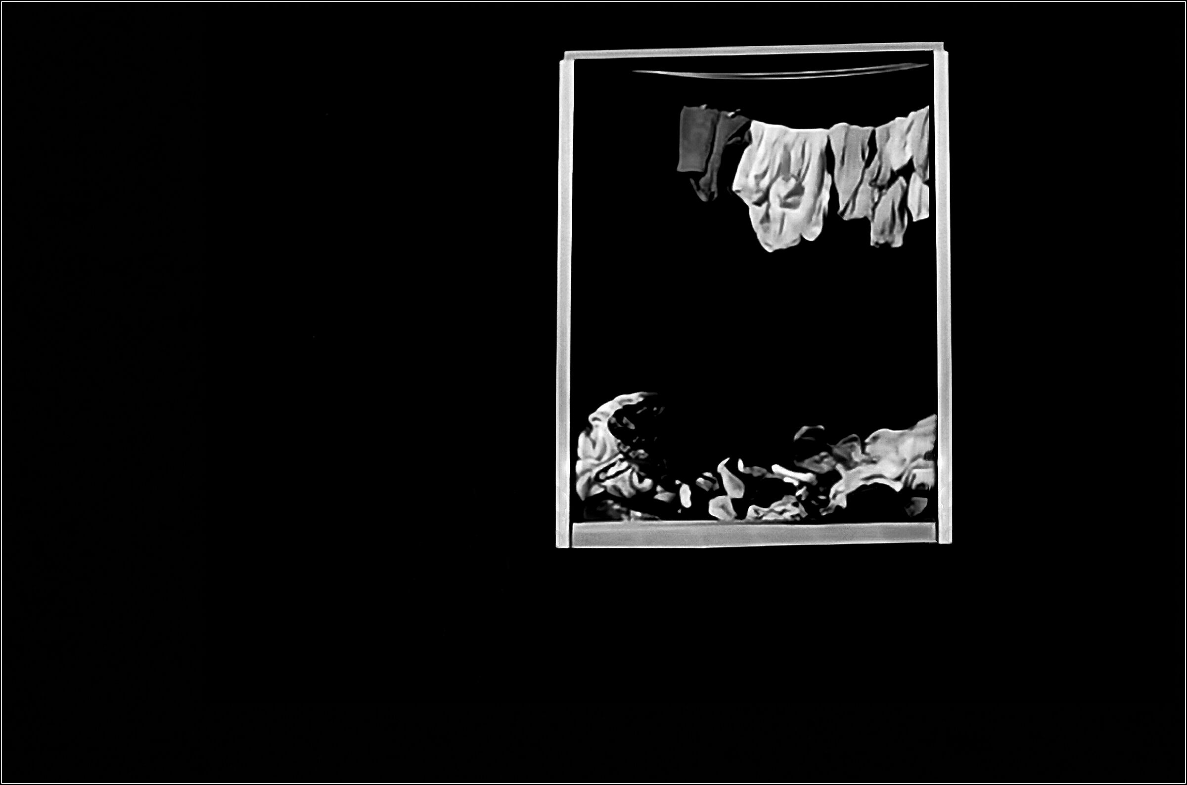 La finestra sul Cortile