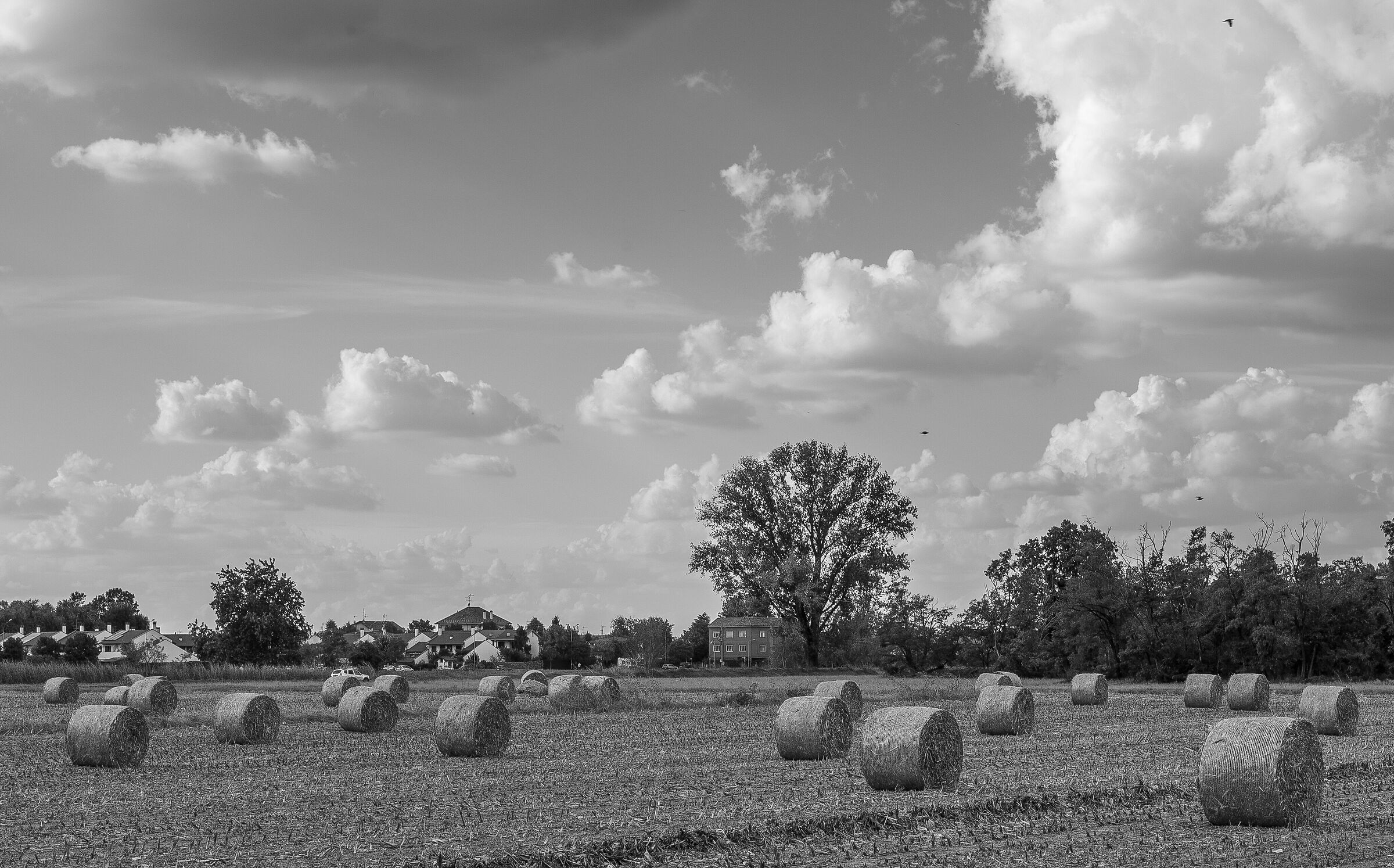 Country Sunday
