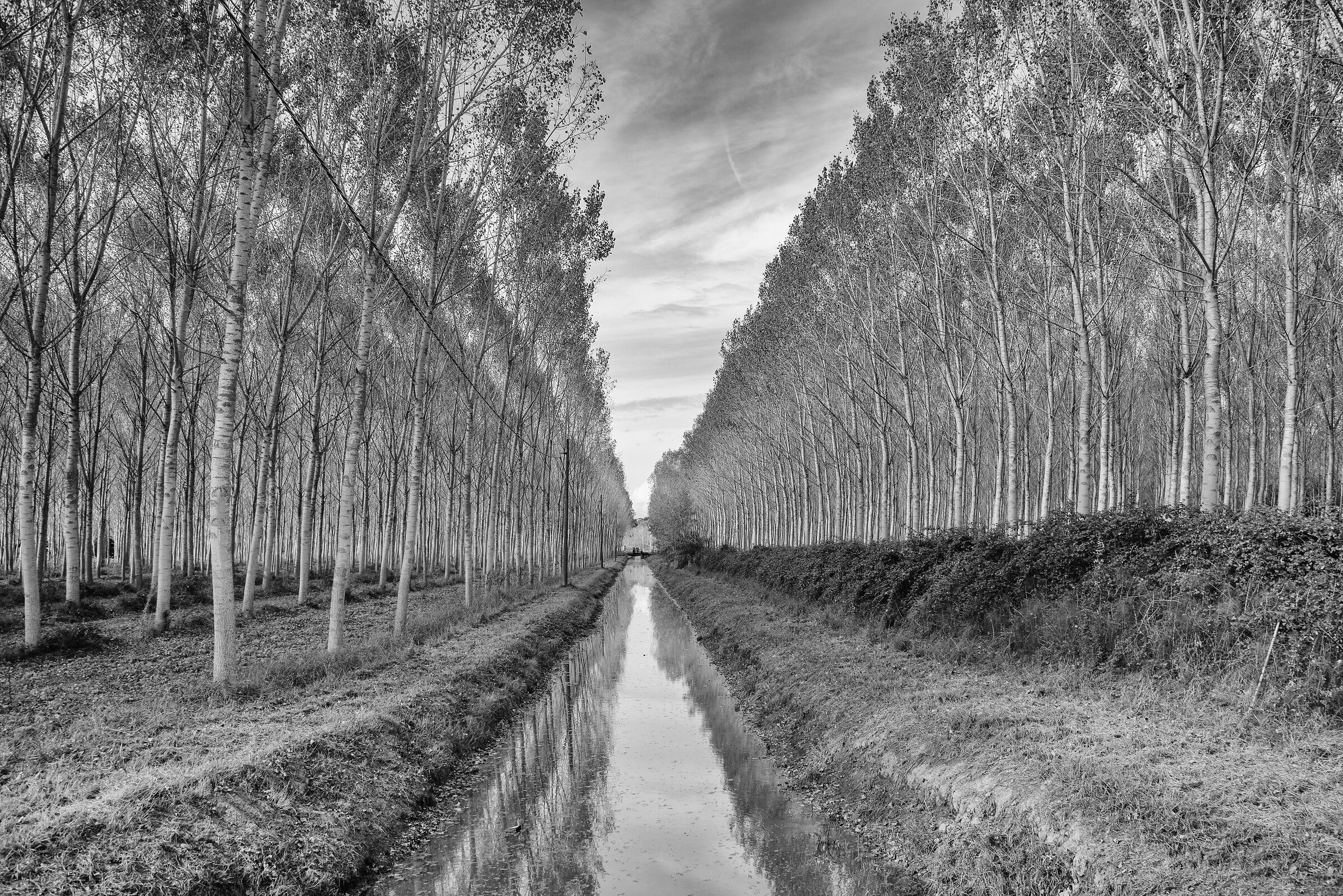 Convergenze parallele